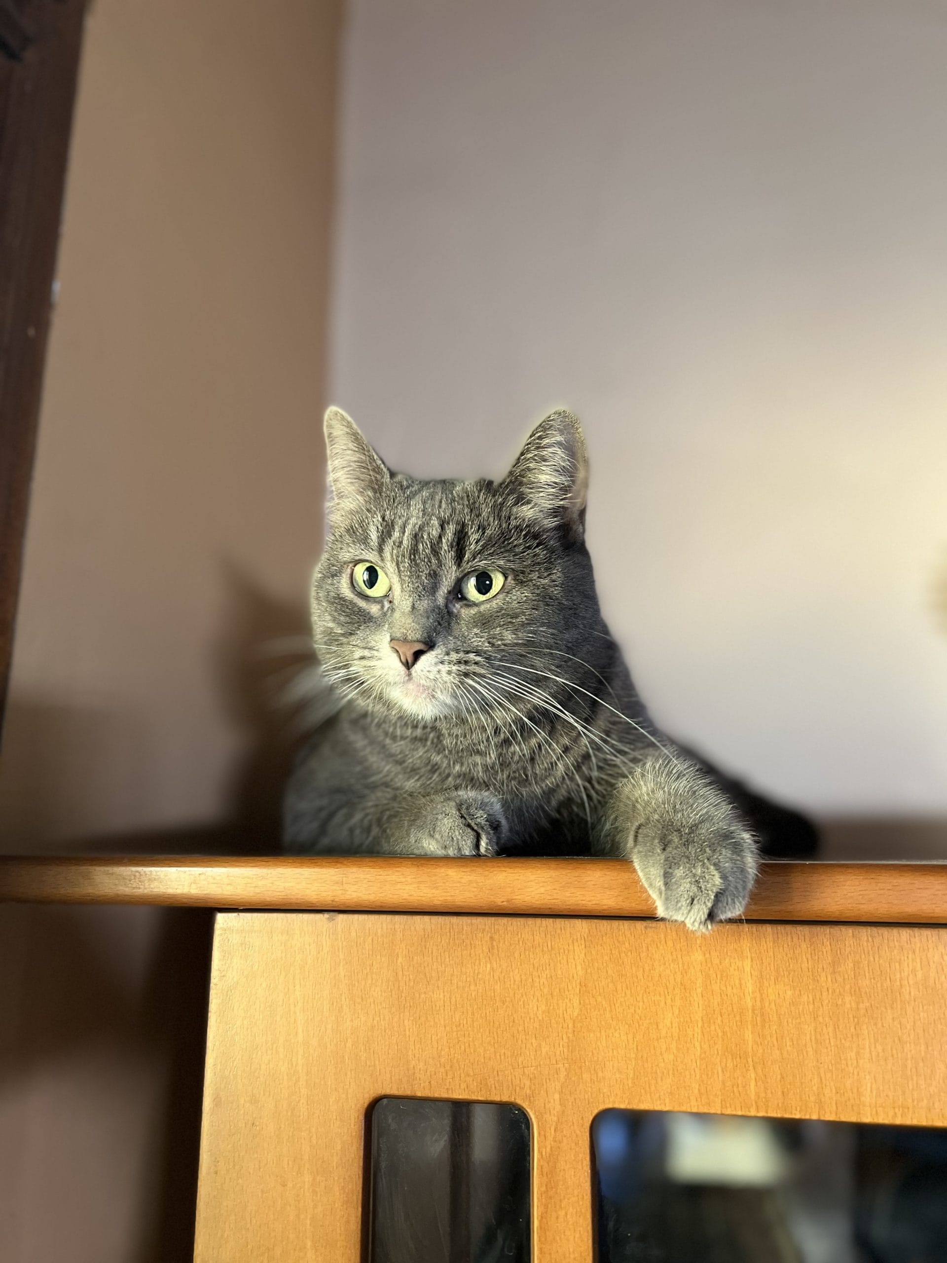 165DBA65-51C9-409E-9984-7E07A1B96AD3