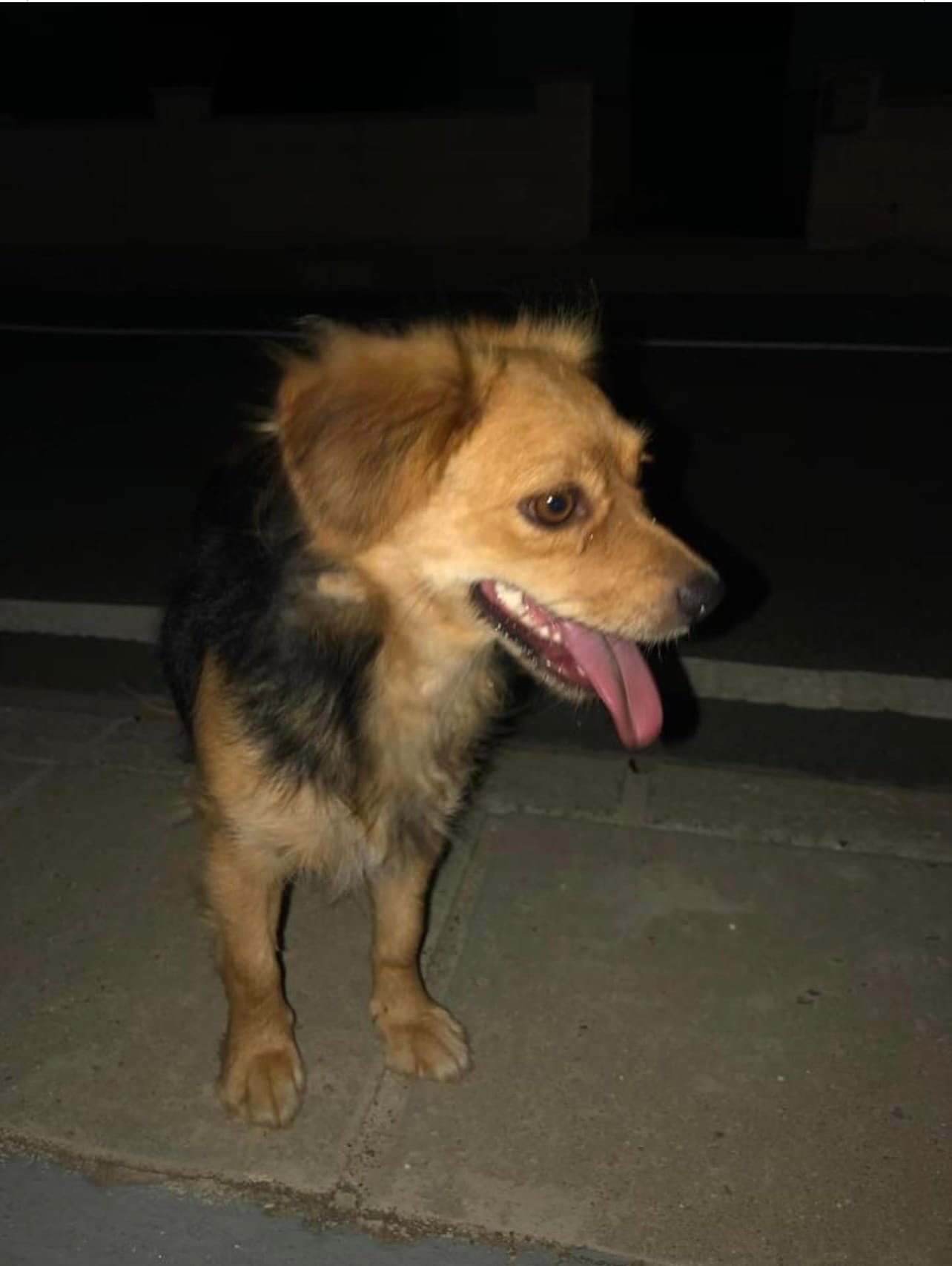 1C0598C5-0DD9-46B3-A6AE-8E6B9CC59FA9