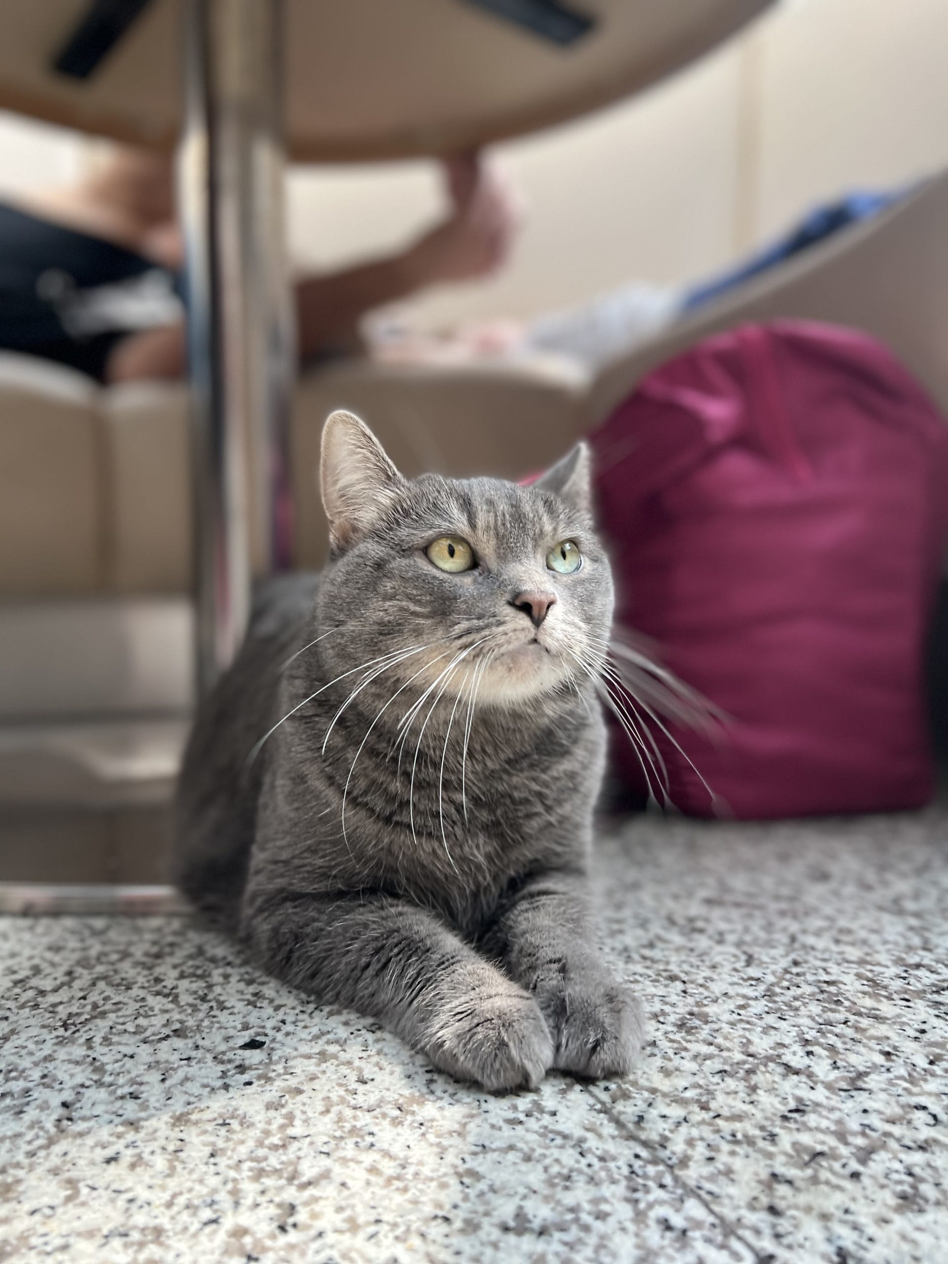 1FB15656-EA61-4A7B-B4C8-B844AD8FE91A