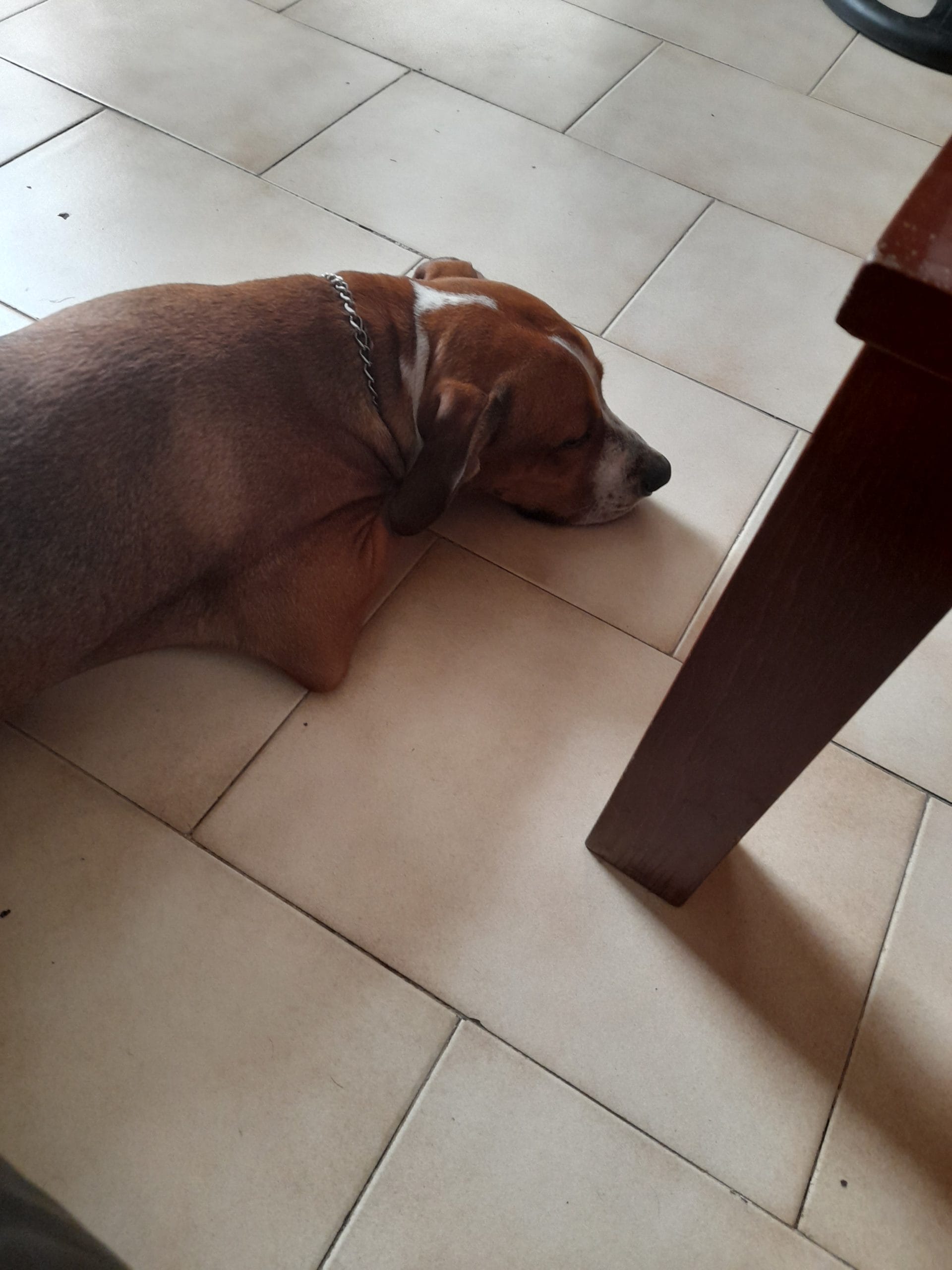 20220715_170956-scaled-1