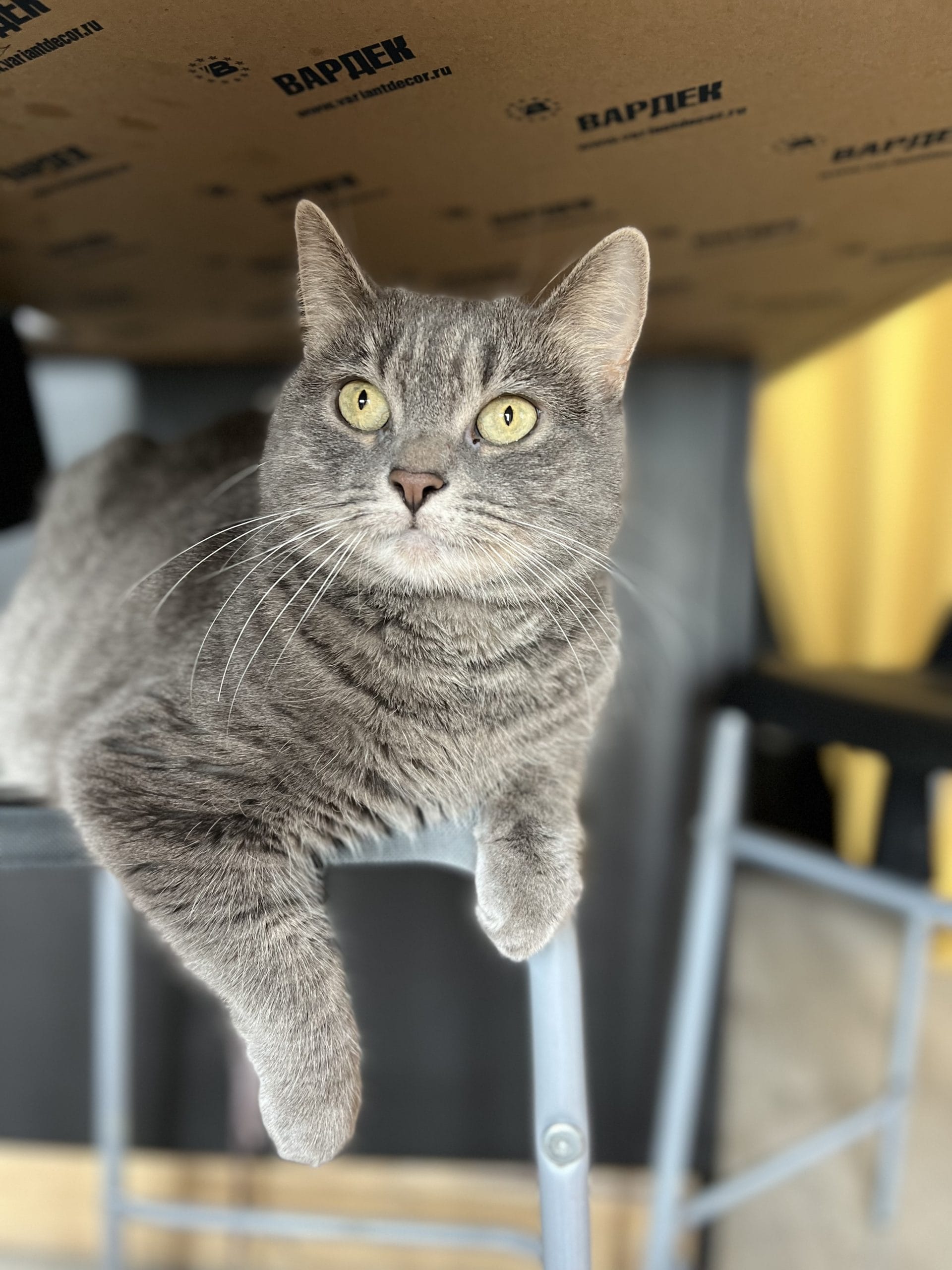 25EA7F2E-1ED7-4212-BAFE-E83658BE4046