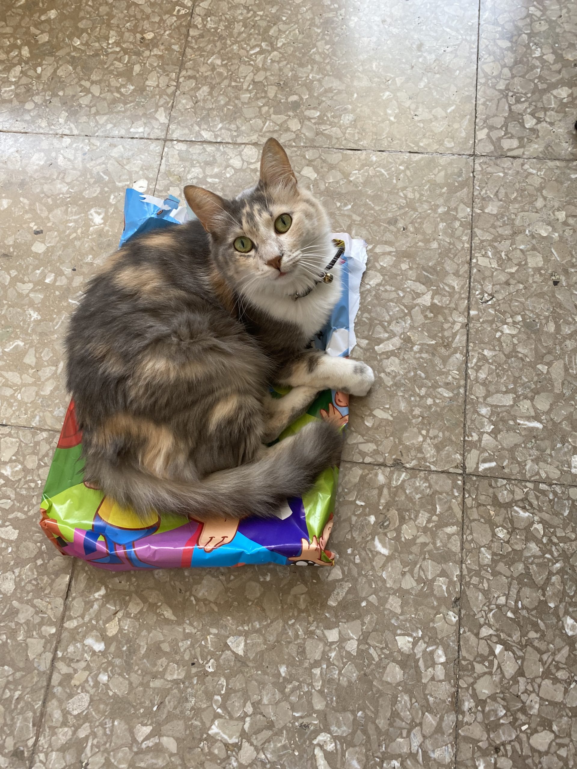 38CE8065-CA81-48E2-941B-CD8EEC4080C5