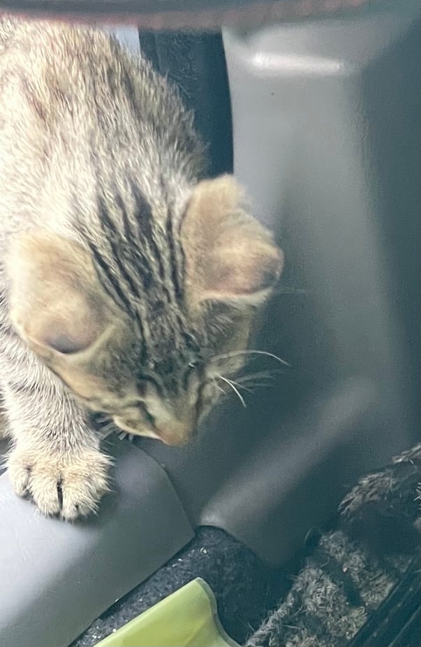 5FCF6068-EFE8-4E2C-9803-AFC719A7683C