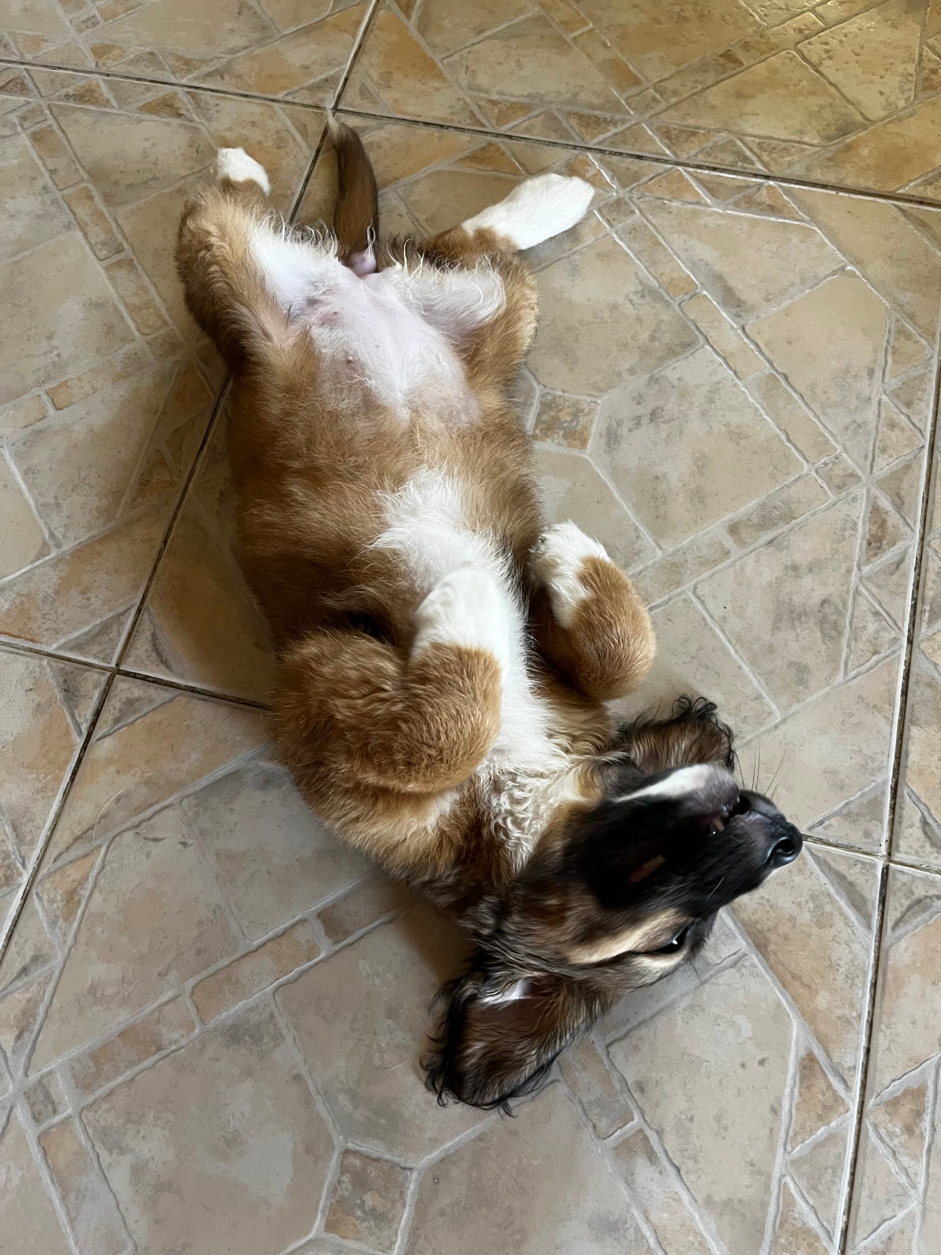 76AE3C7A-7223-4C4A-B469-10CBC802CFE1-scaled-1