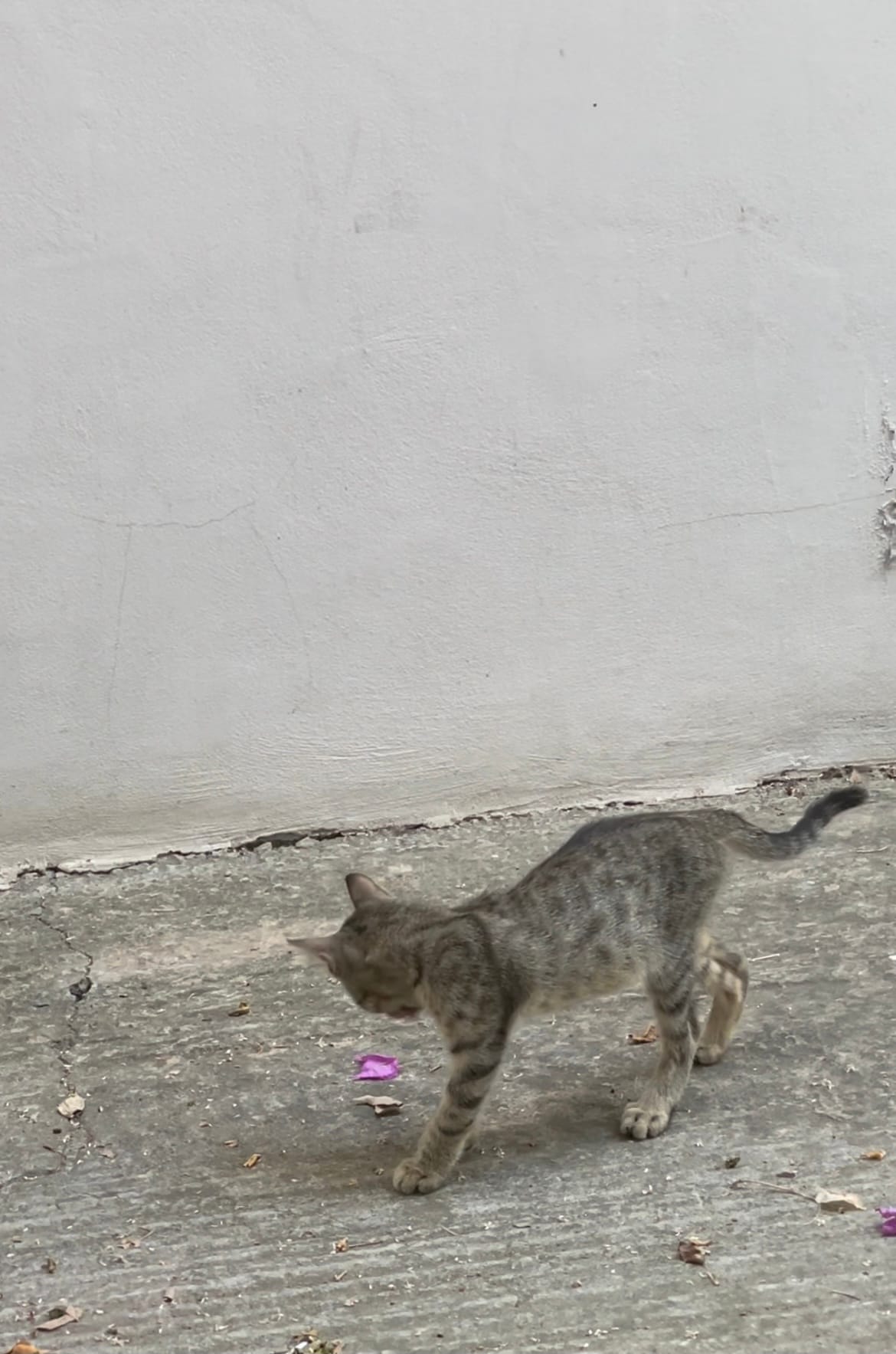 86B5DC60-9737-4742-B830-6C453D7CAD12