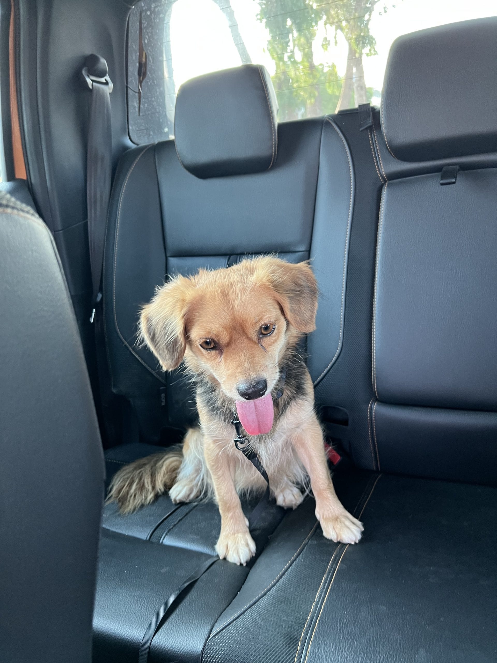 8F287429-8E79-496F-B01C-D0676724C46A