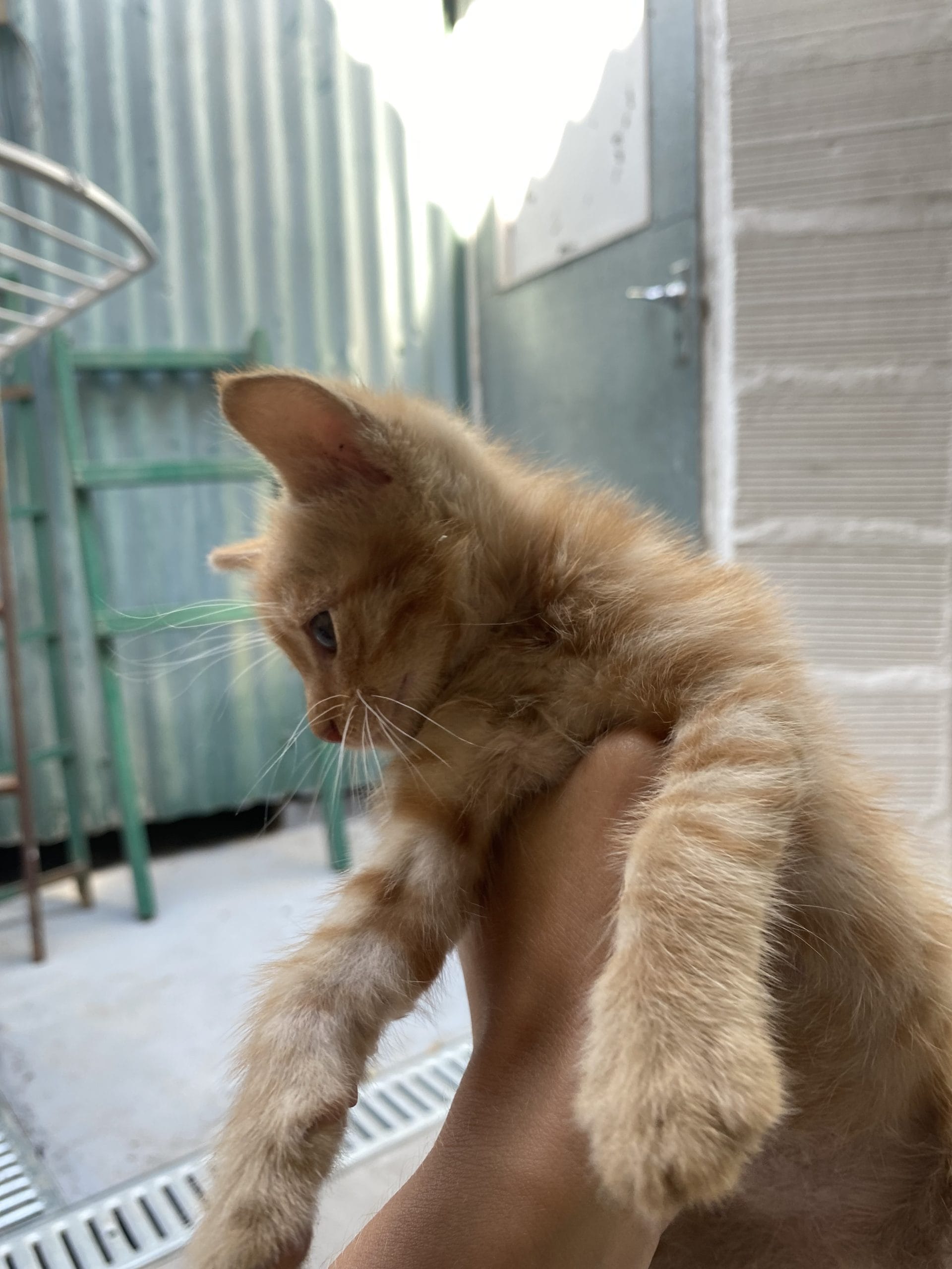 96F53D31-C78E-4F61-9D82-AE7B9E273CA9