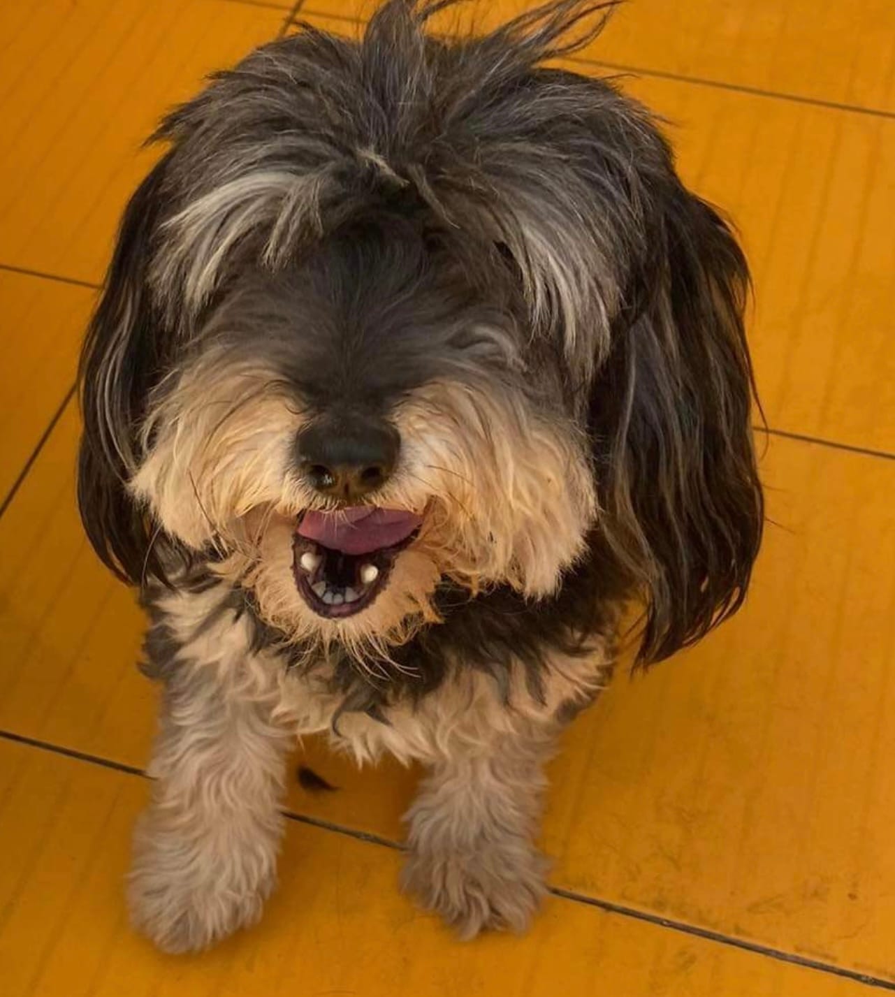 A03299C9-3785-4E07-BA39-D196E834D1AE