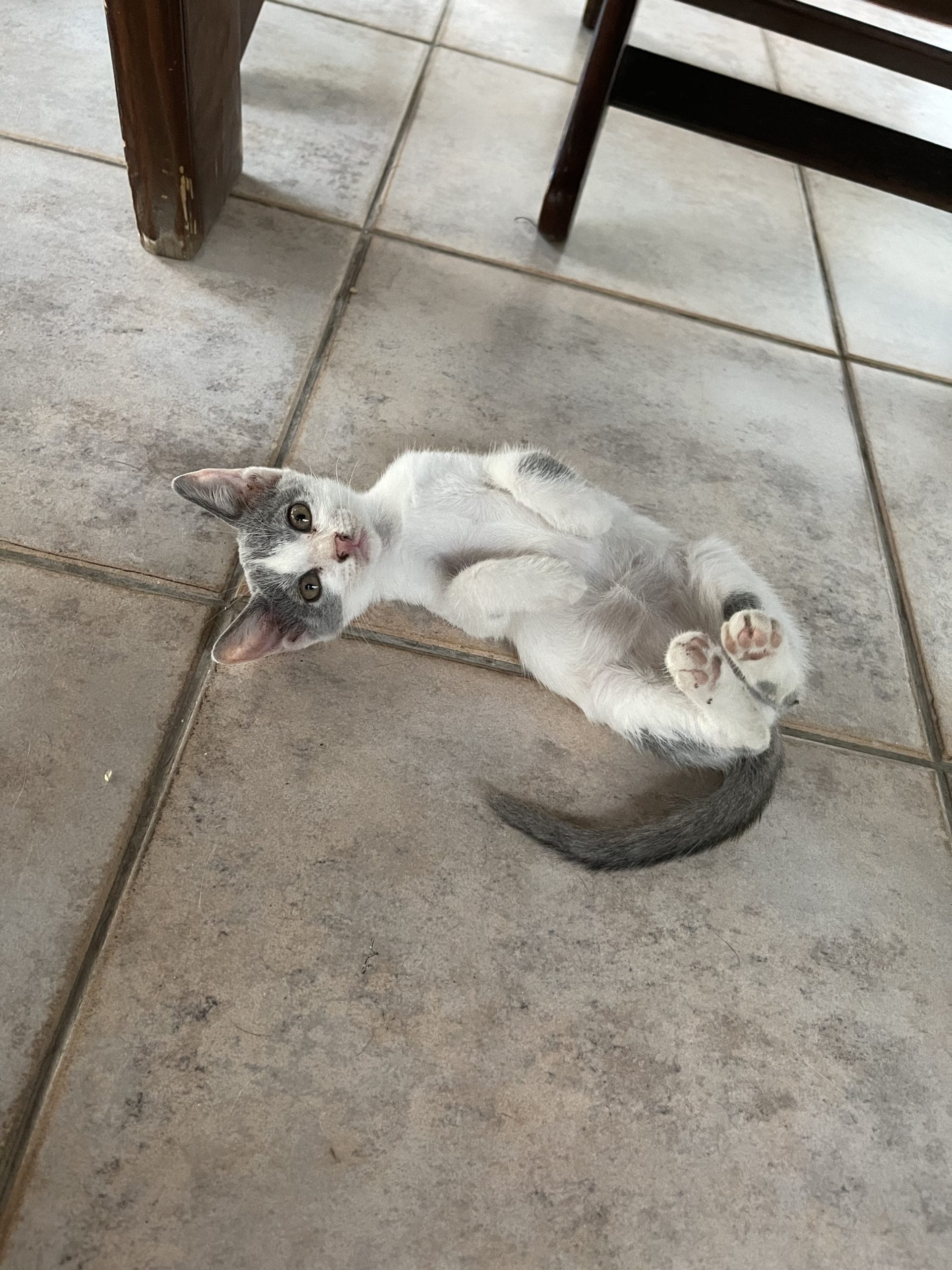 A7AFD9E8-31B1-4BAA-AE9E-1D816AB5A78B