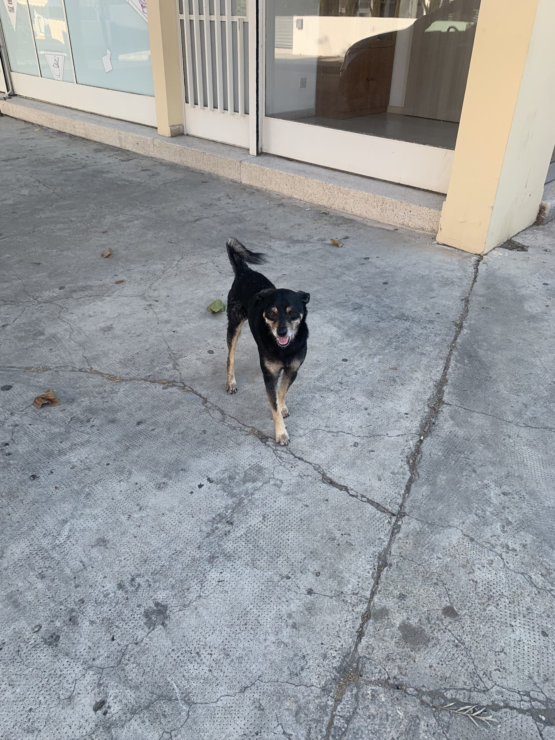 AA5E667C-0F04-4420-8847-EE50EF081EBF