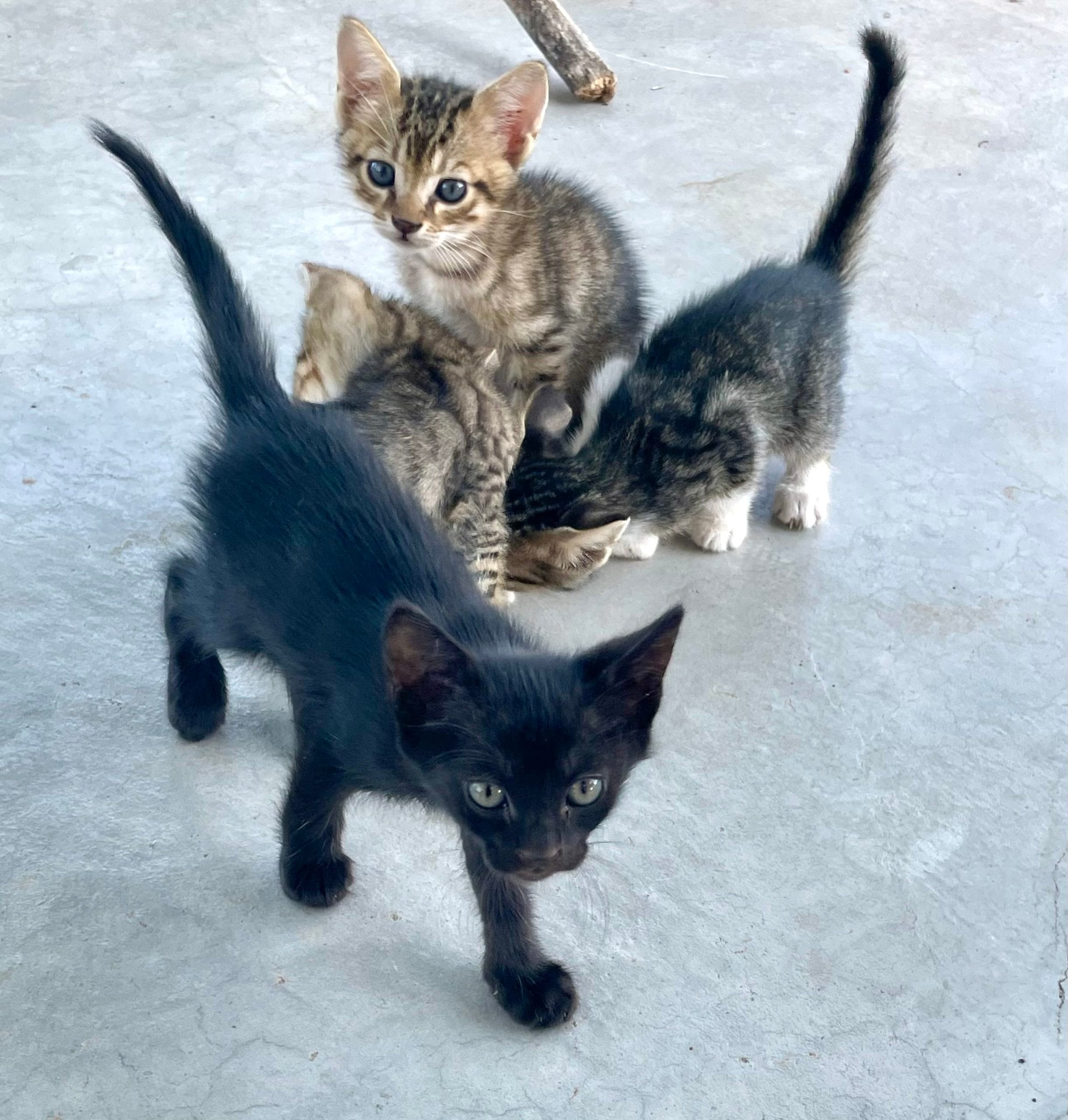 F0F2EA49-3C65-4B0E-AE01-1E8C8C68419D-scaled-1