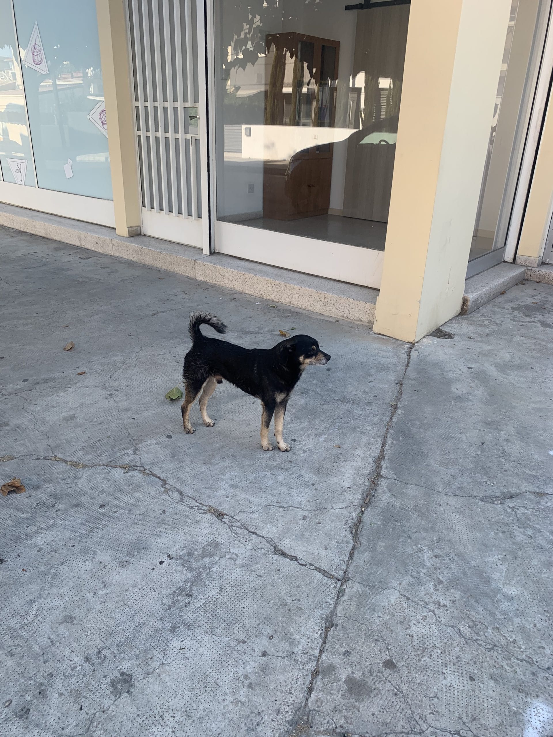 F1BDCD54-C0DB-4A08-9AD1-94F4070F59C3