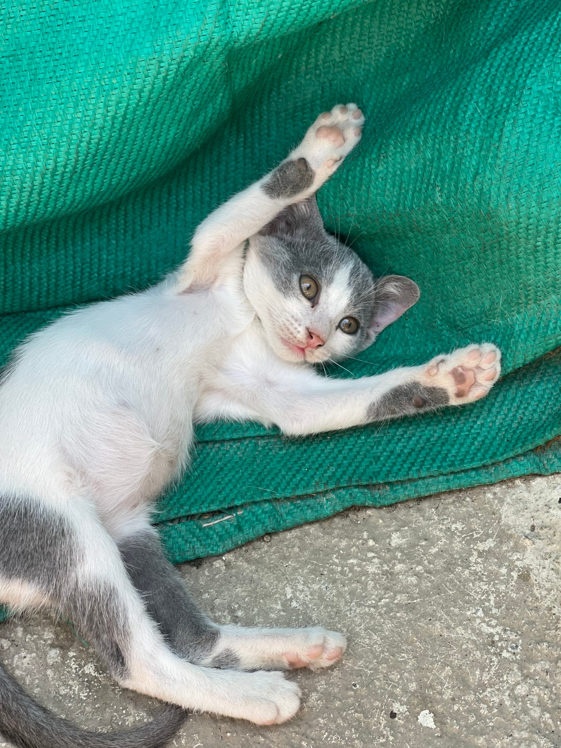 F591815A-68C2-493C-A3F5-3F8C86F899F8-scaled-1