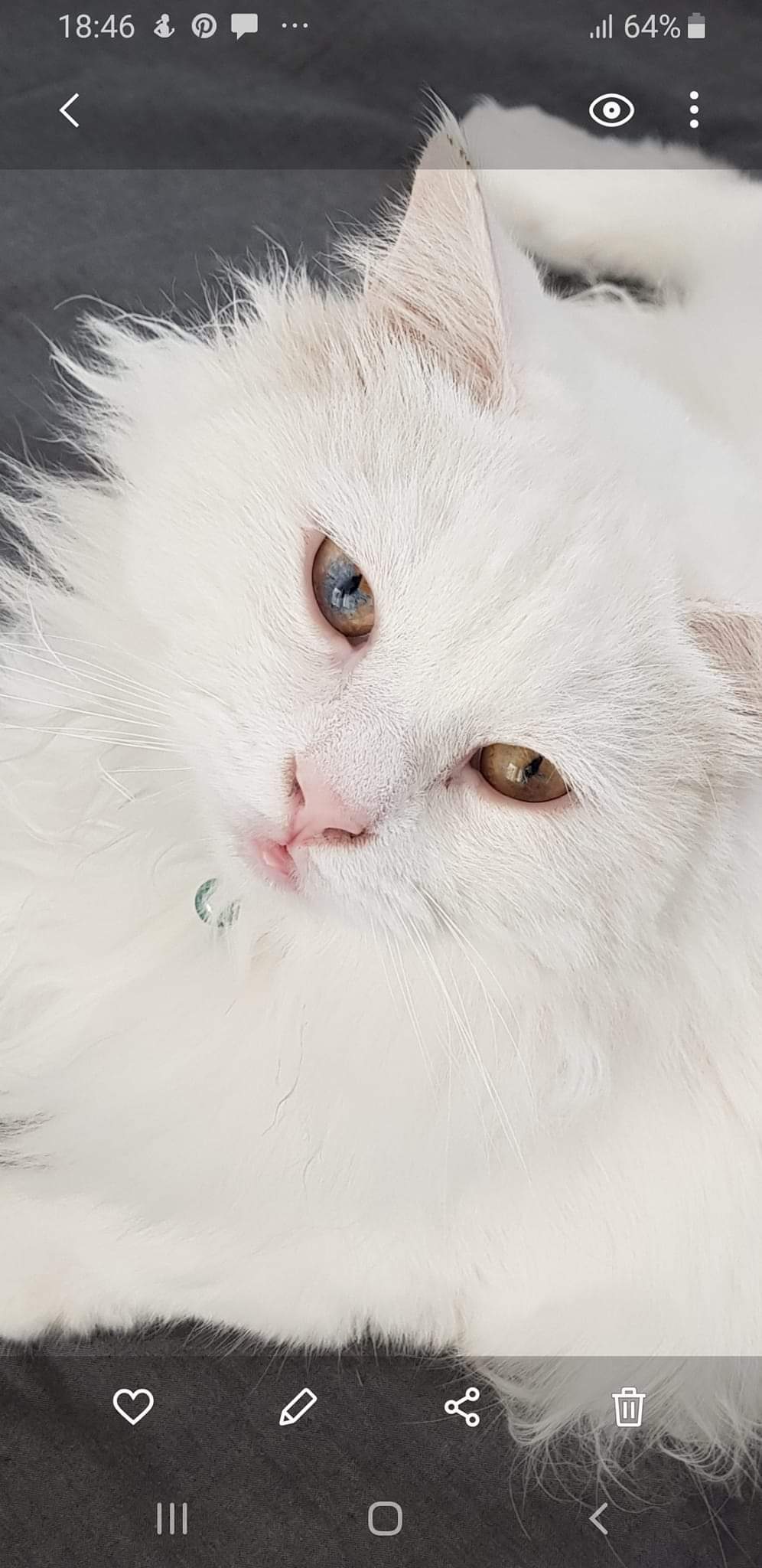 FB_IMG_1663293132278