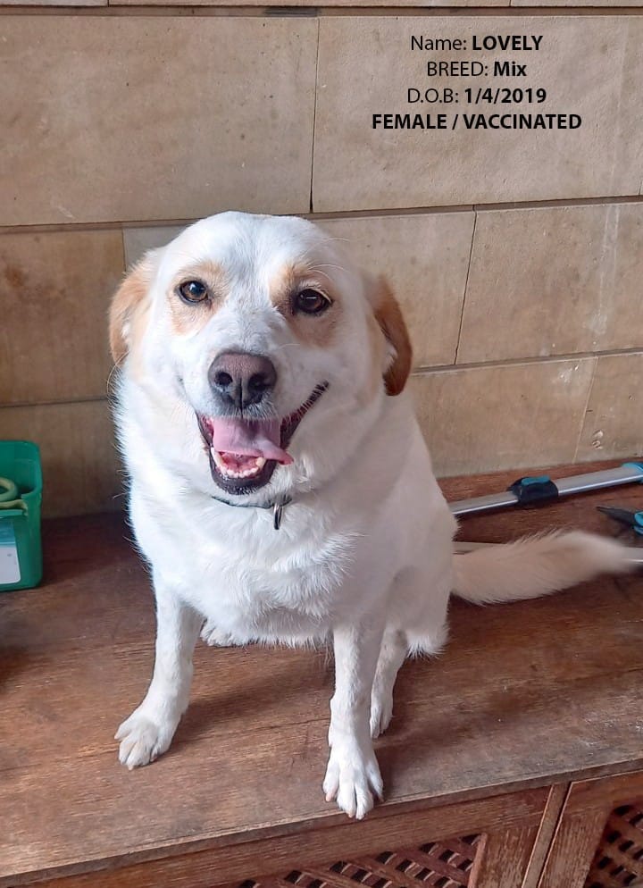 IMG-d86148f52b1381278476f3980c338dd8-V