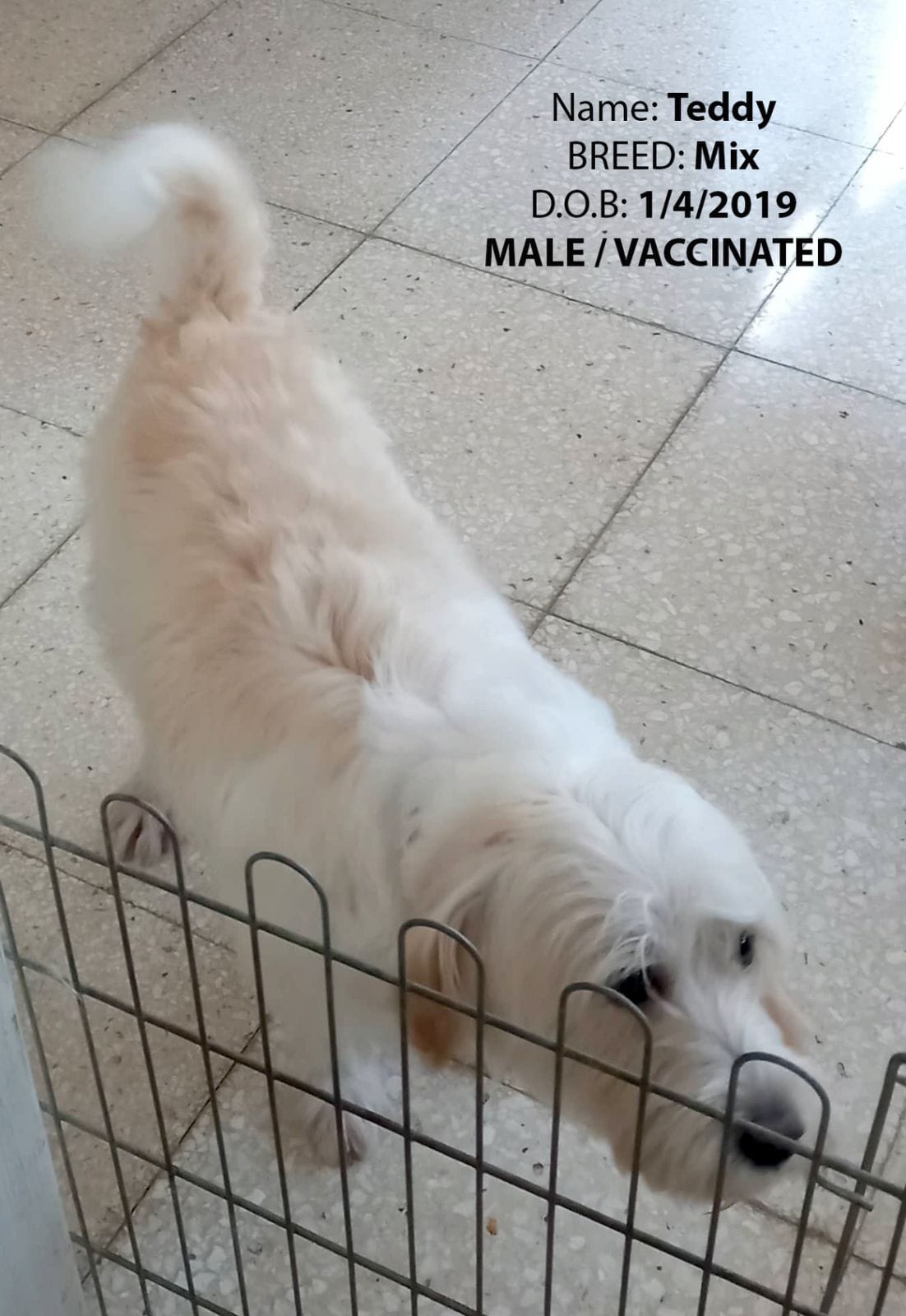 IMG-e535c914b8da25f48abd040f4746be19-V