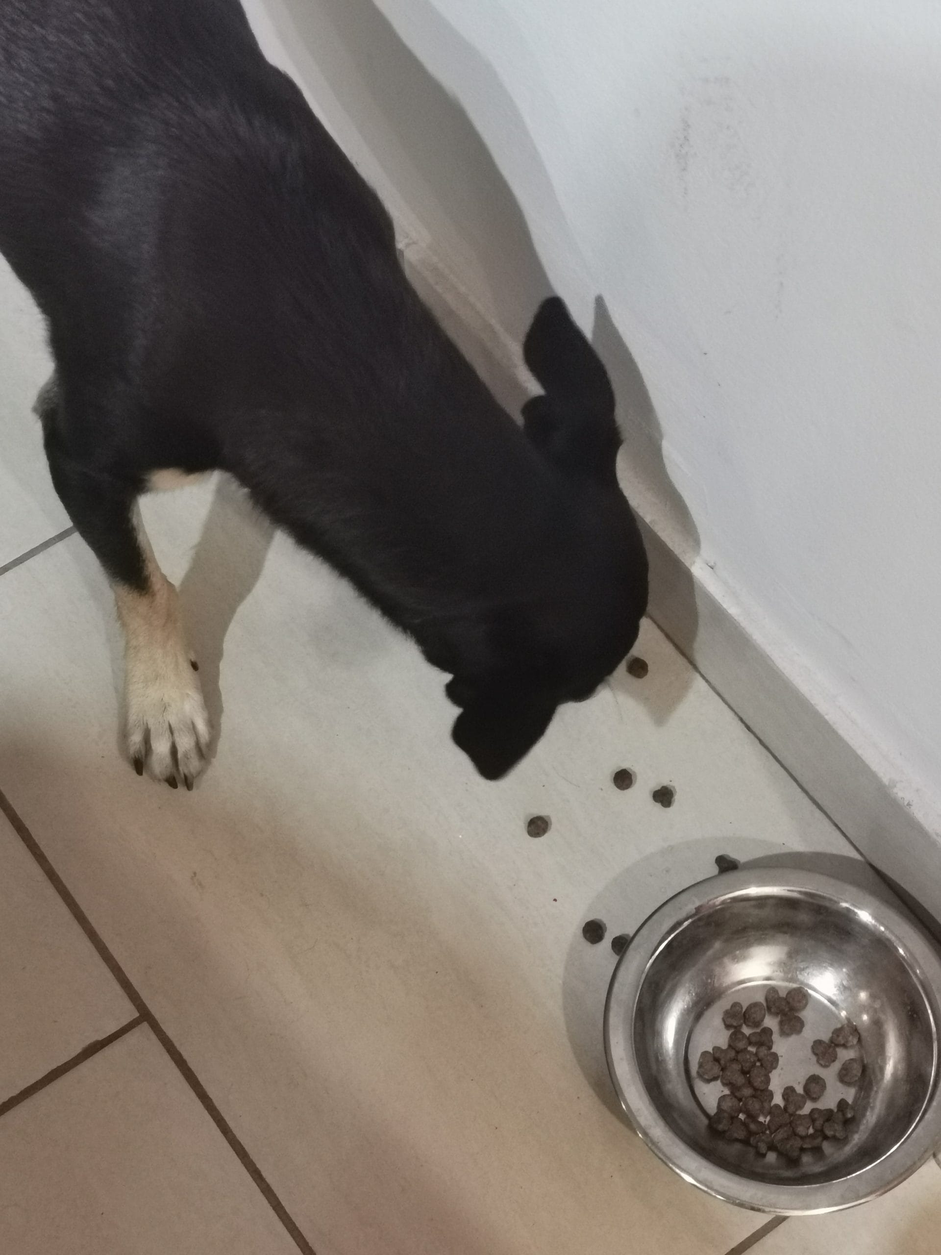 IMG_20220713_204009-scaled-1