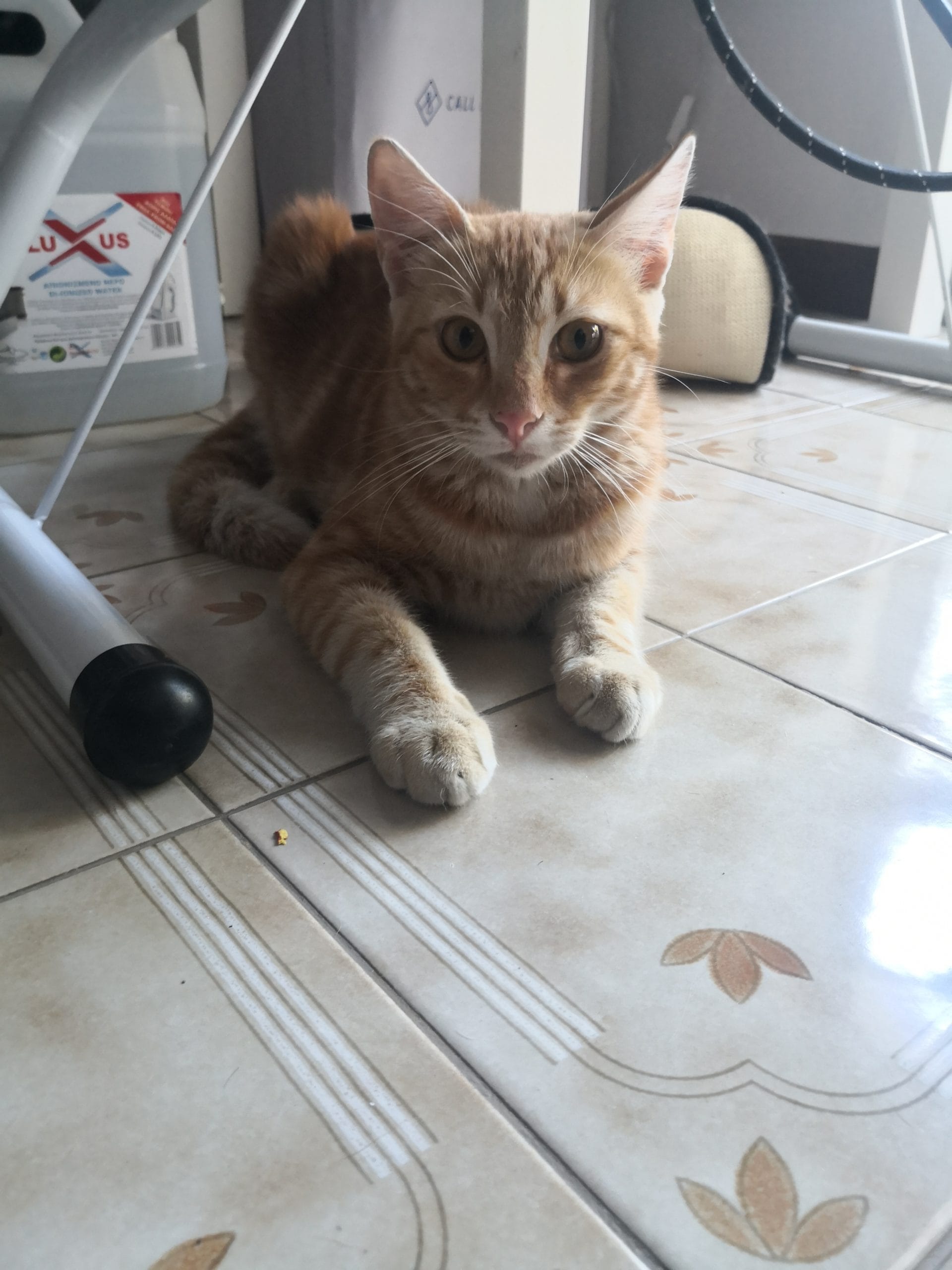 IMG_20220909_165140-1