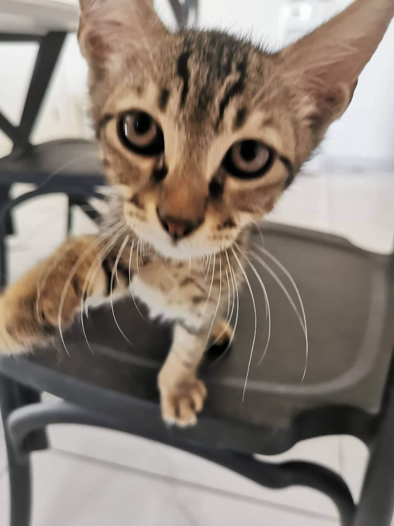 inbound2311105005005759127