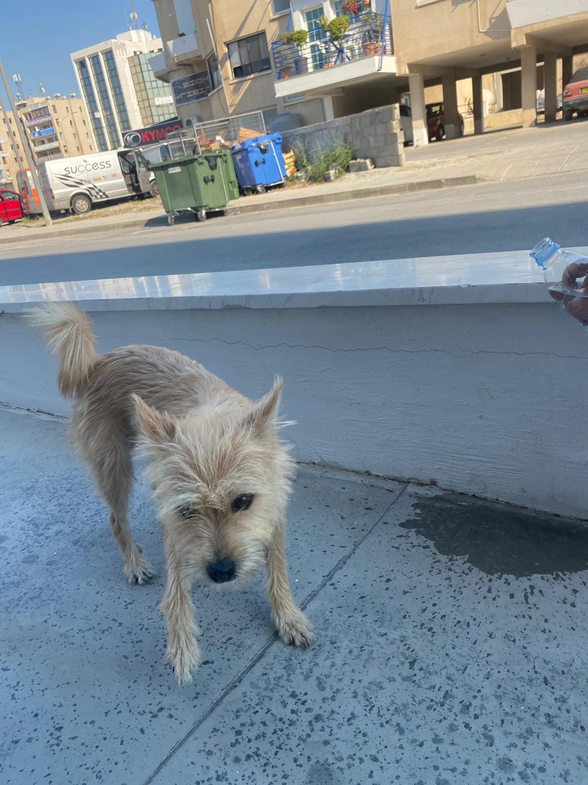 inbound4387220436546839997