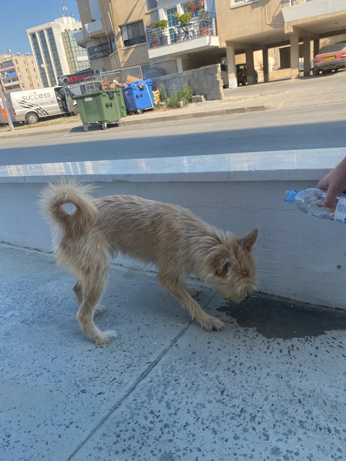 inbound5064912688504915148