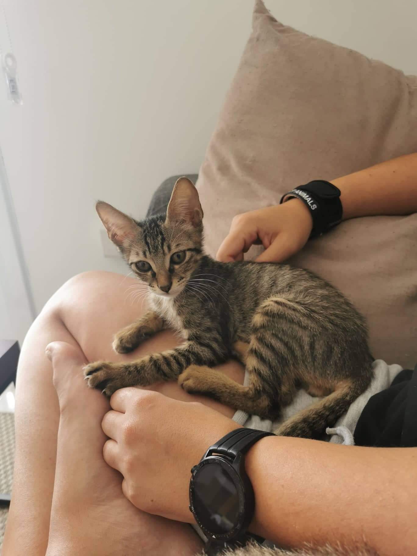 inbound7958309647081751554