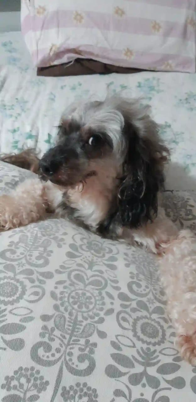 5FF2BAFD-9A39-40E2-9599-8A261DC999E2