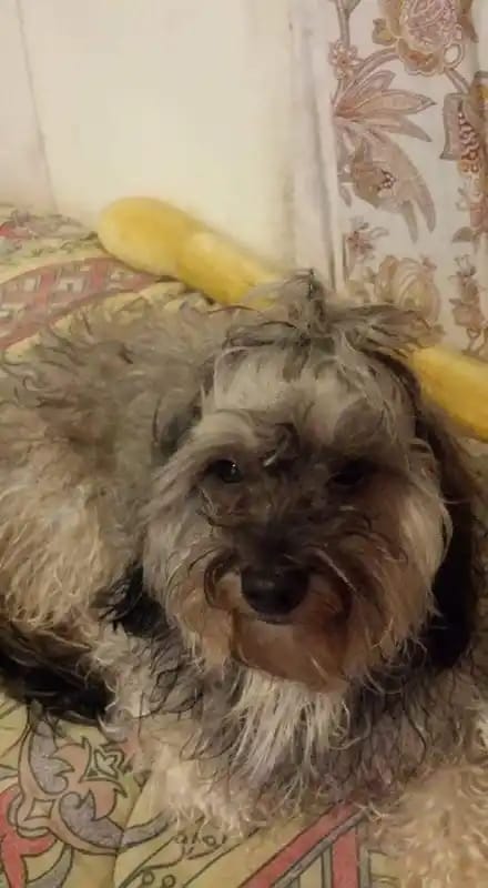 93A87A19-C3C3-4D90-9338-1CD8C576C3E8