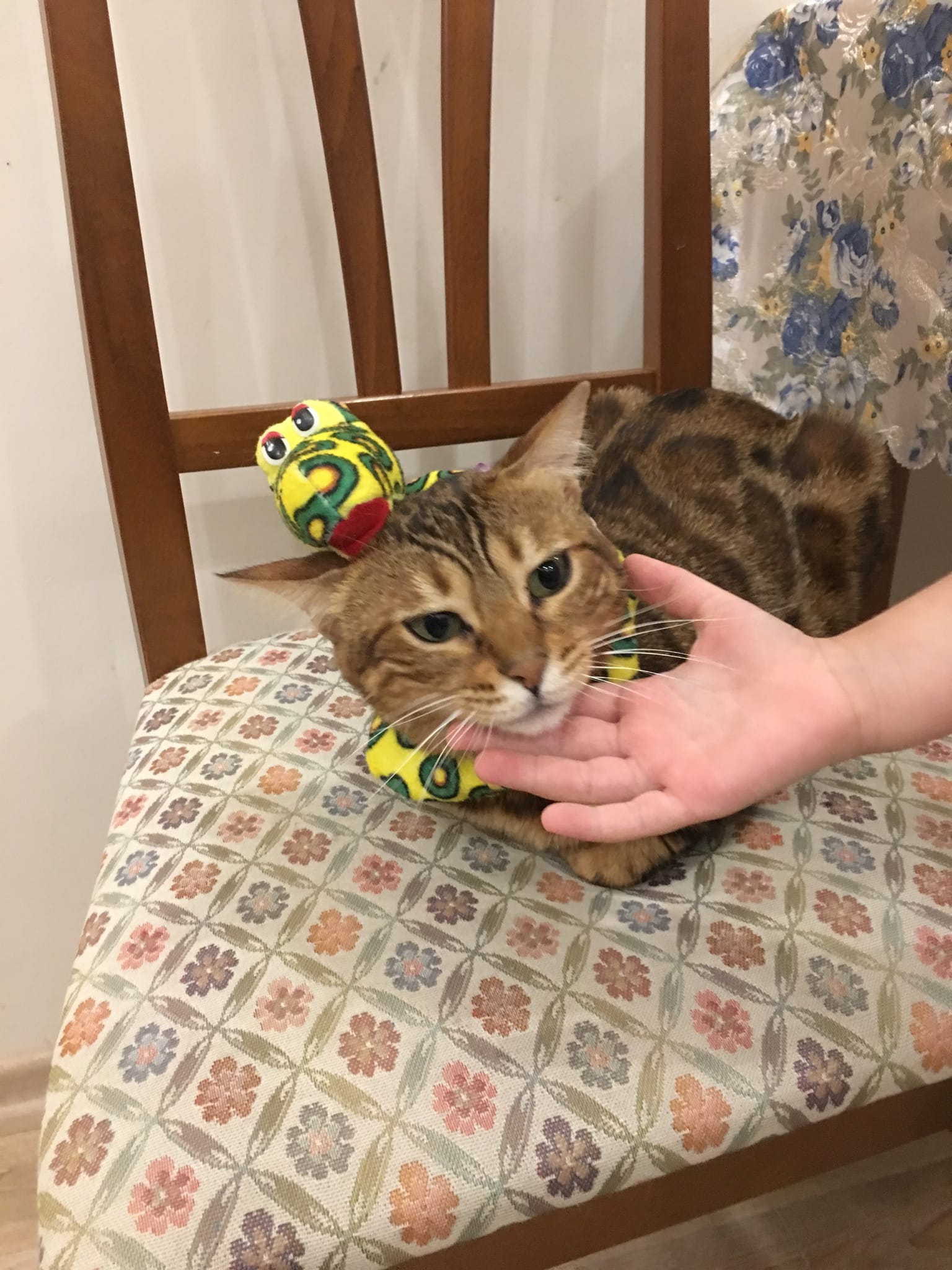 9C90BEDA-3AFB-4648-AAE0-196BE327E8AA