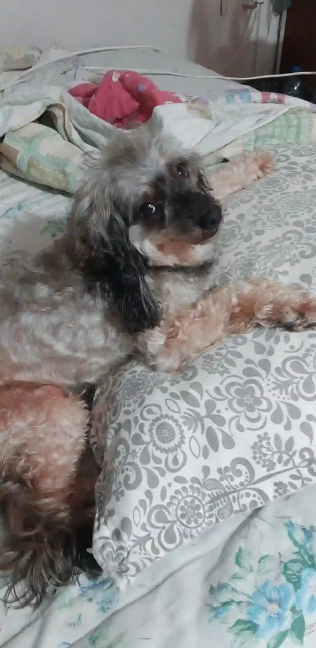 DAE2430F-51ED-4DF7-9641-283CFC241F9A