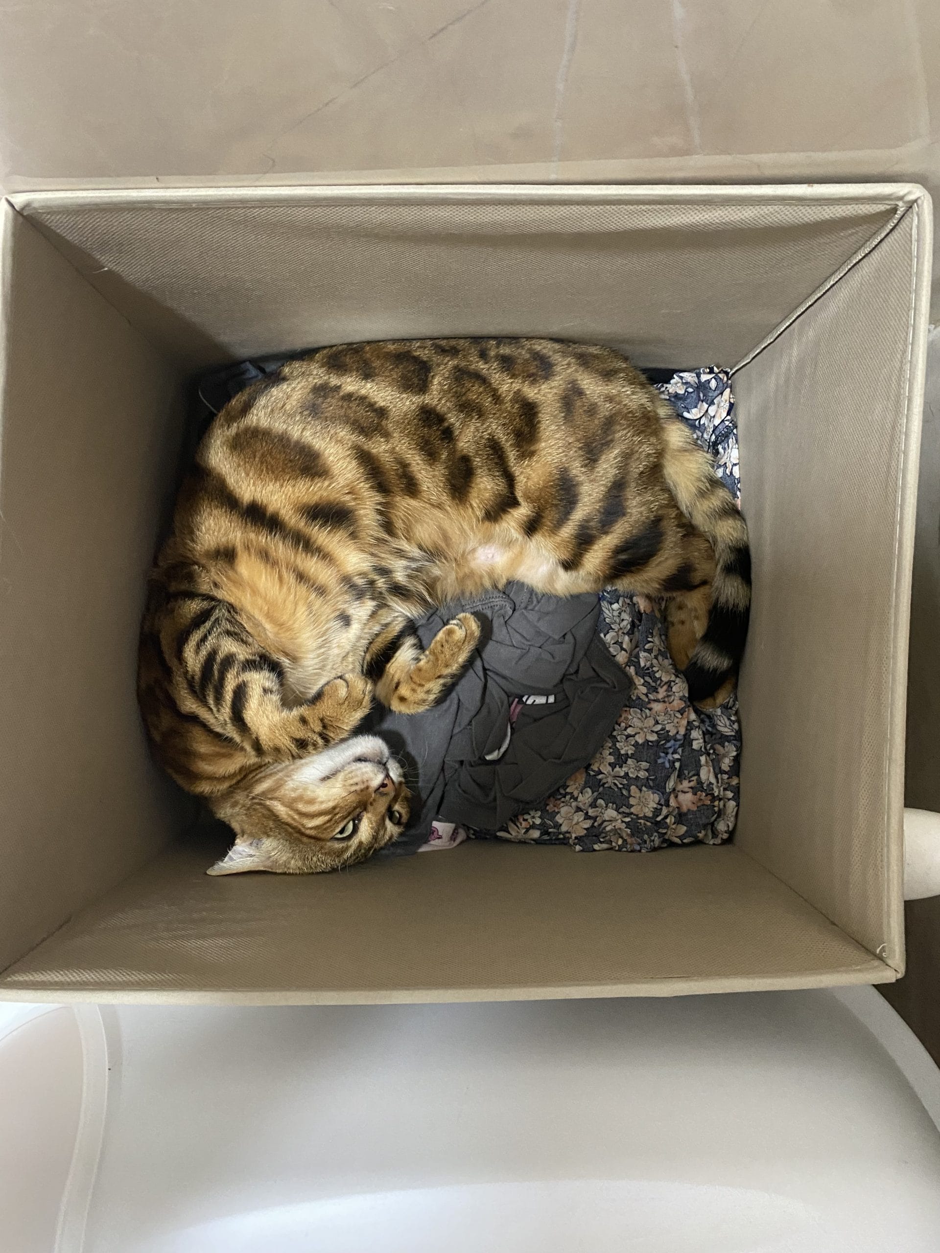 EFEA913B-86A0-4BFC-9E98-010FE0C7BC60