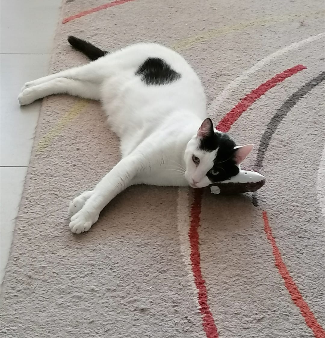 Screenshot_20220923_084357_com.android.gallery3d_edit_15641377876779