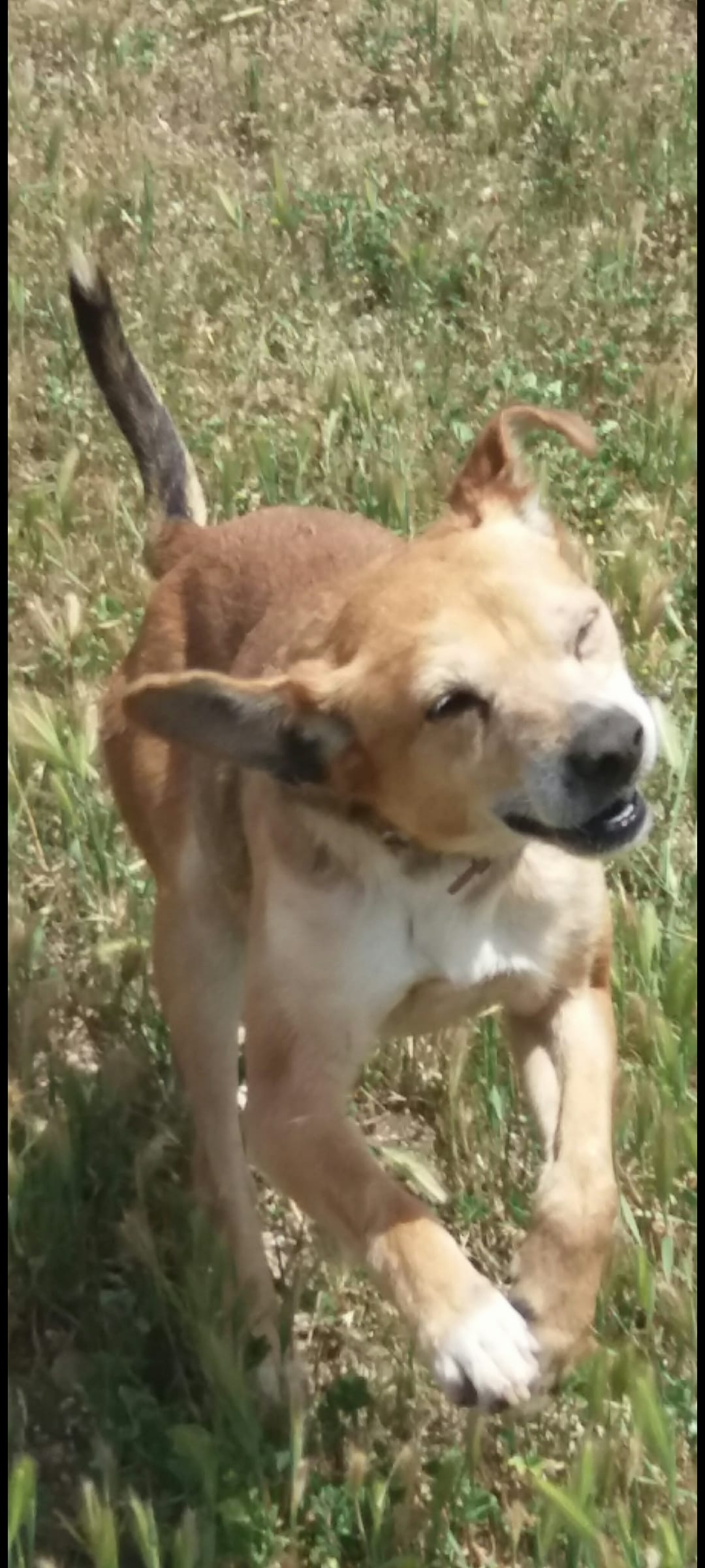 Screenshot_20221018-201808_Gallery