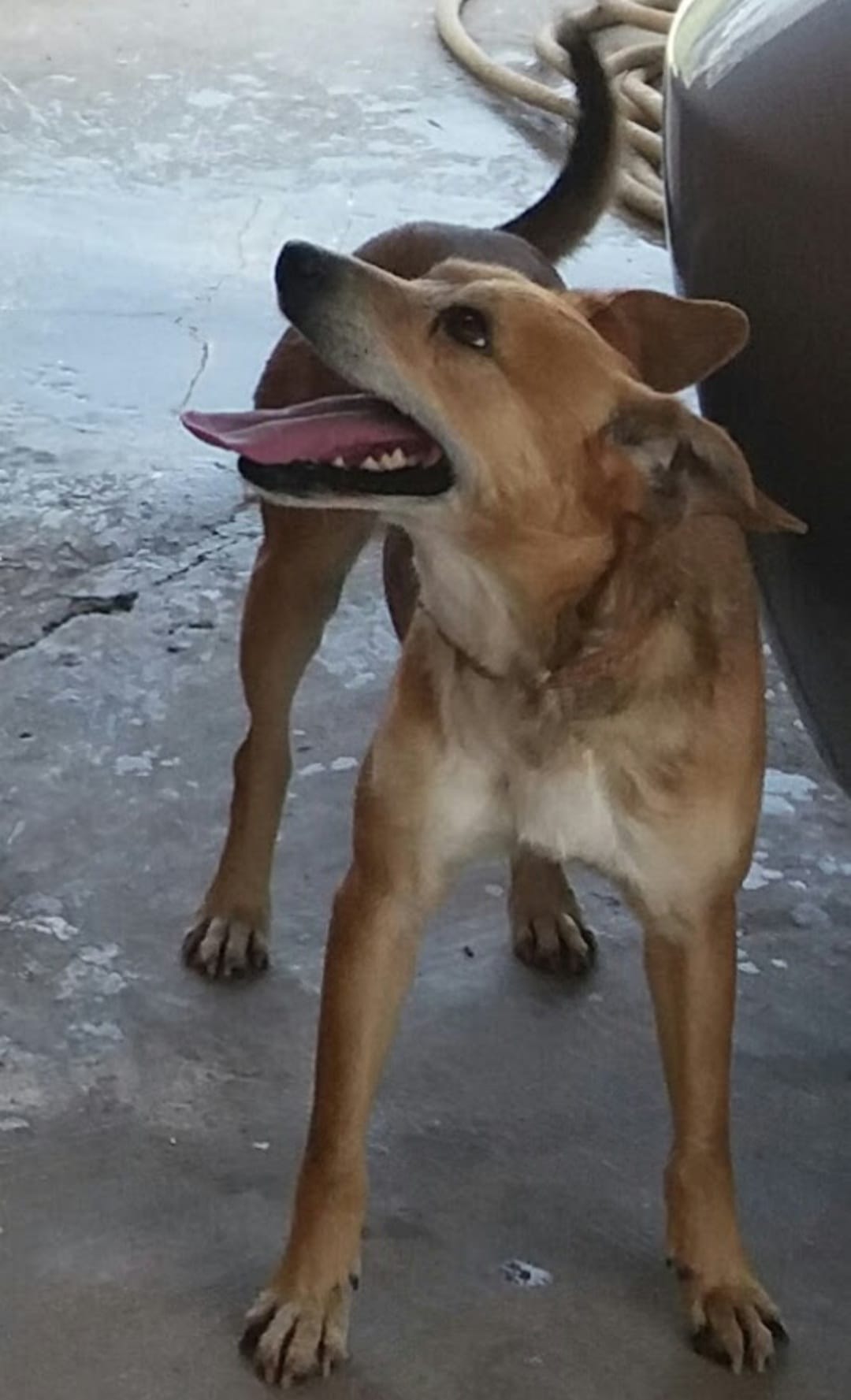 Screenshot_20221018-201817_Gallery