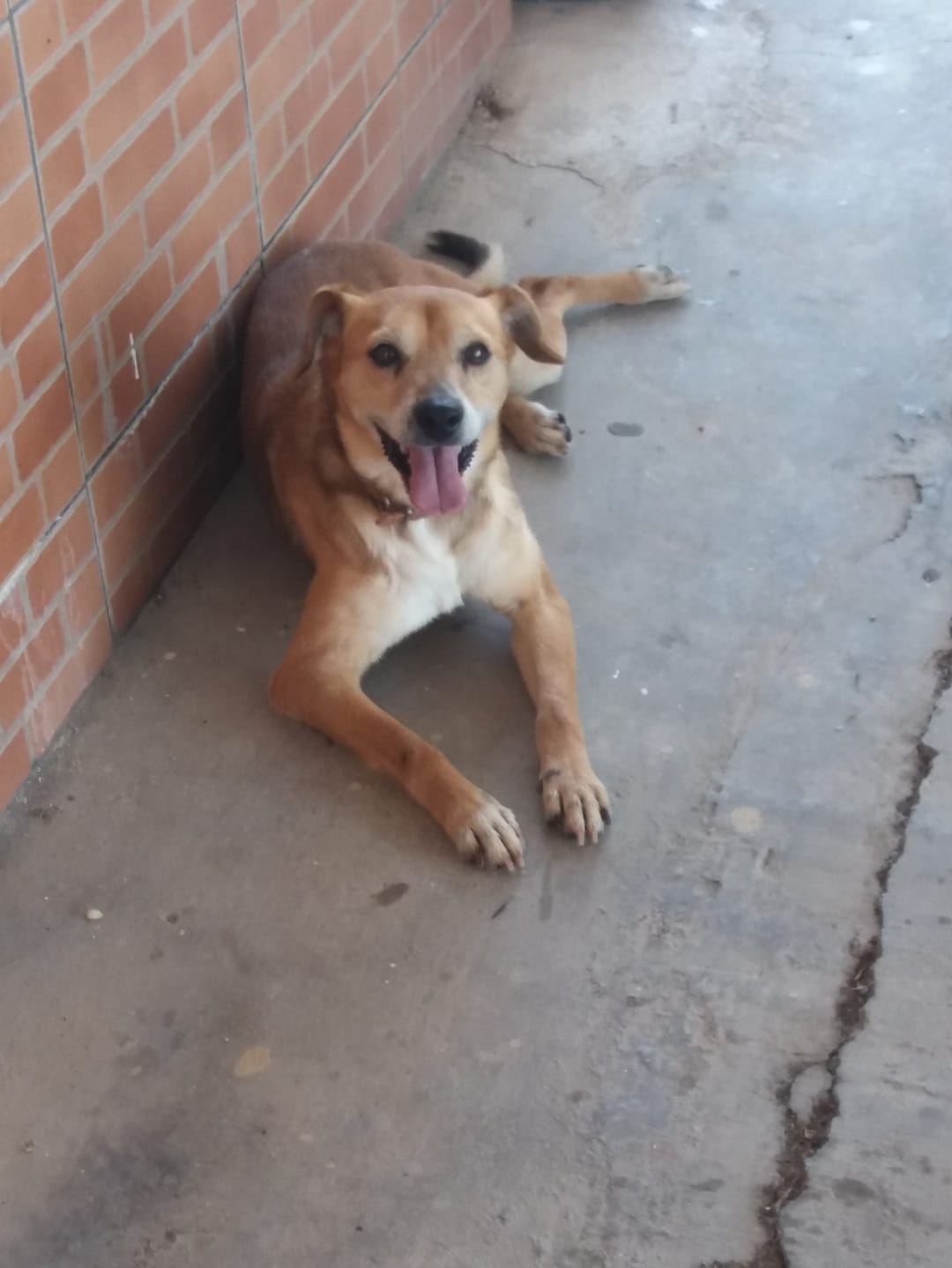 Screenshot_20221018-201834_Gallery