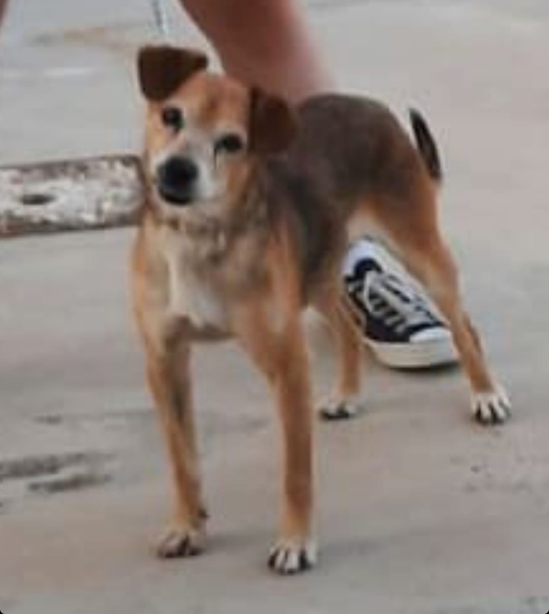 Screenshot_20221018-201935_Gallery