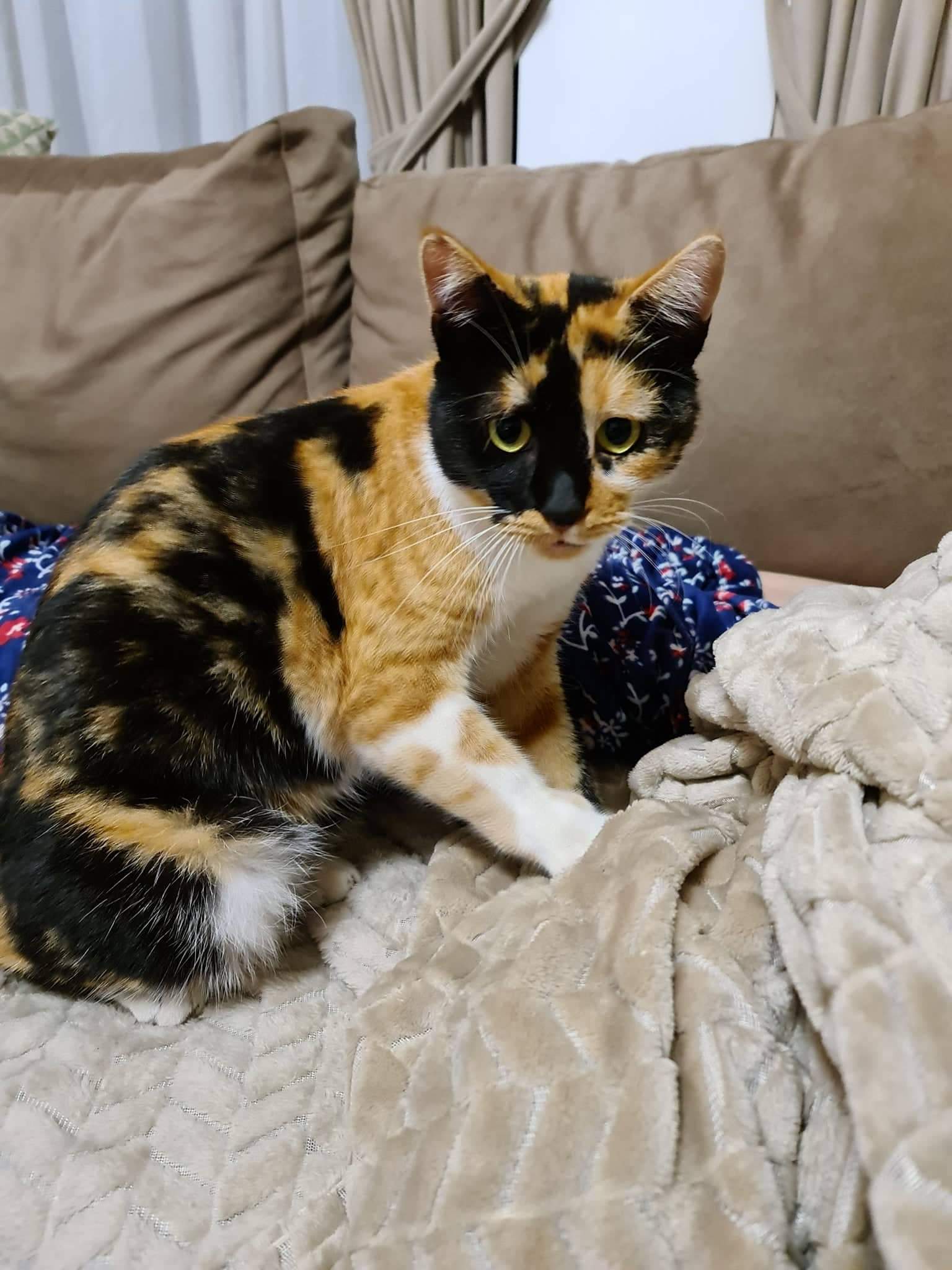 inbound5045045515095874799