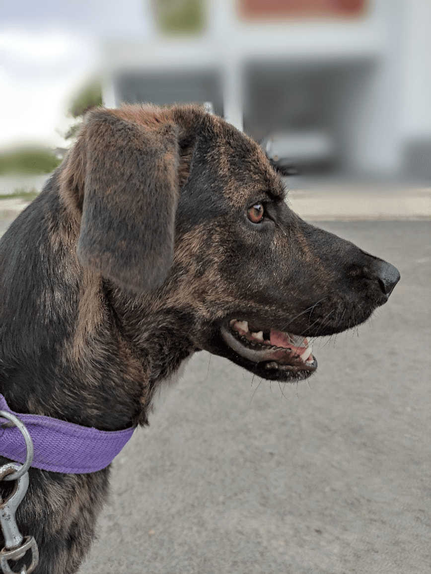 org.picseditor.blurbackground_20221010215938103