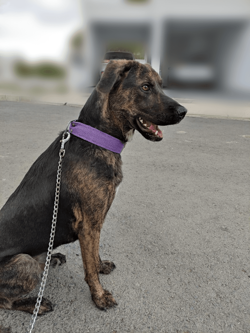 org.picseditor.blurbackground_2022101022155899