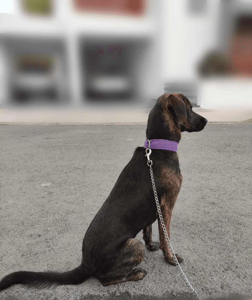 org.picseditor.blurbackground_2022101022319168_edit_2205001991049472