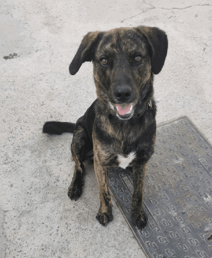 org.picseditor.blurbackground_2022101022746994