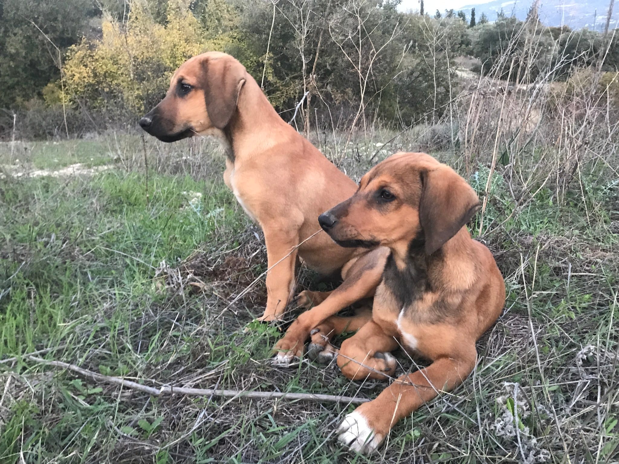 316176581_10158568999647583_8963555228364562189_n