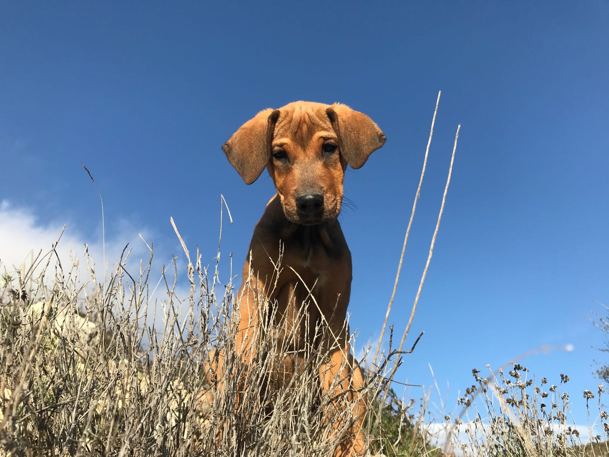 316258568_10158568987682583_5461294270556795632_n-1