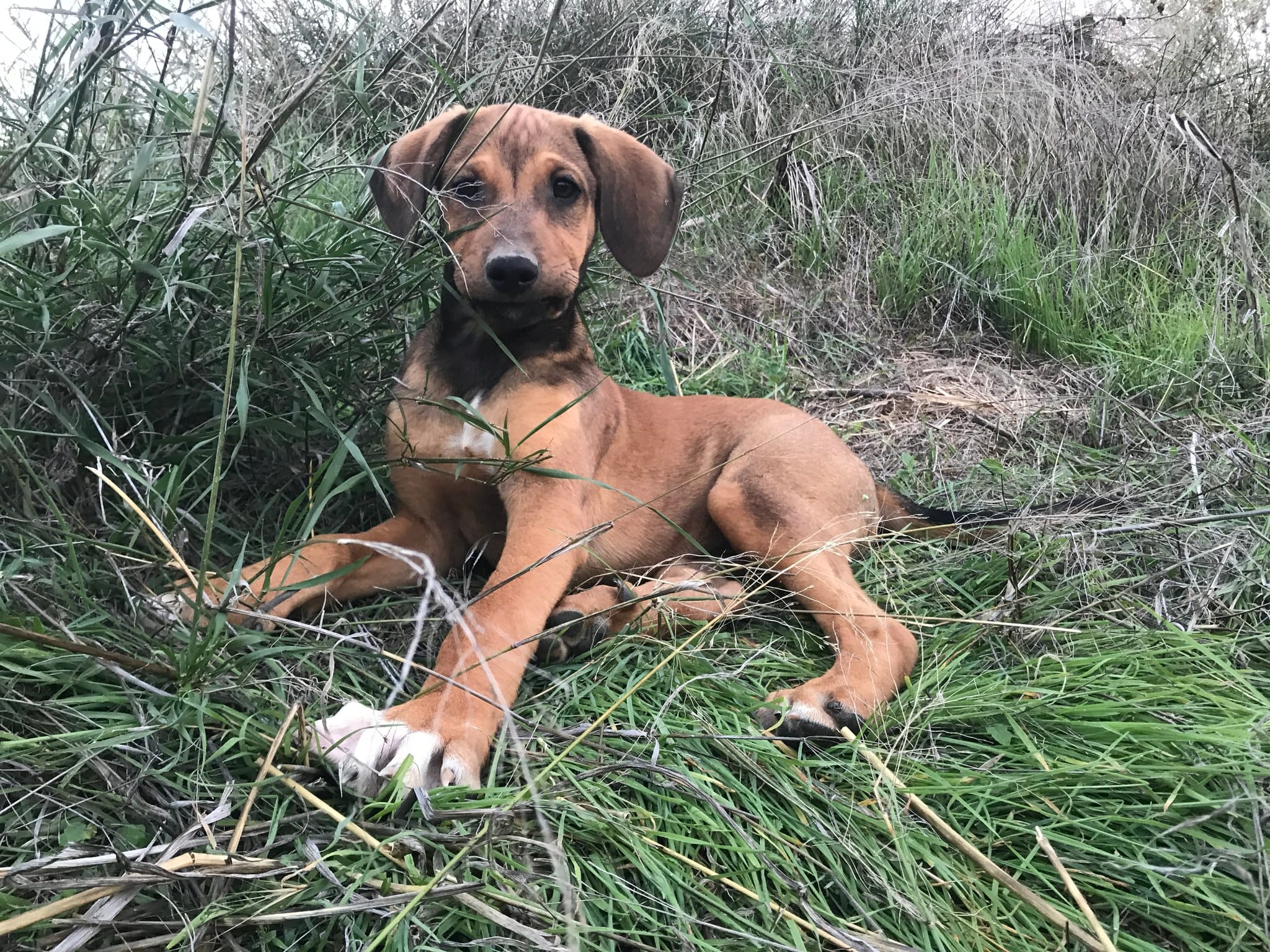 316267556_10158568996072583_3668538217858766151_n