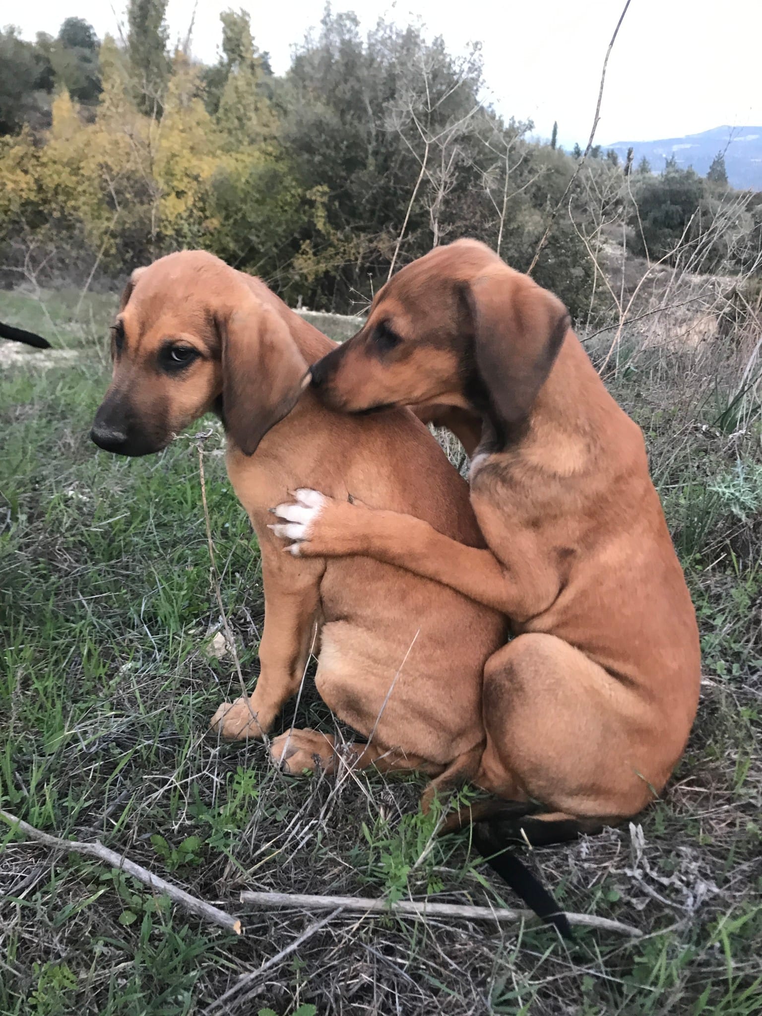 316279498_10158568993802583_9089537672343527736_n