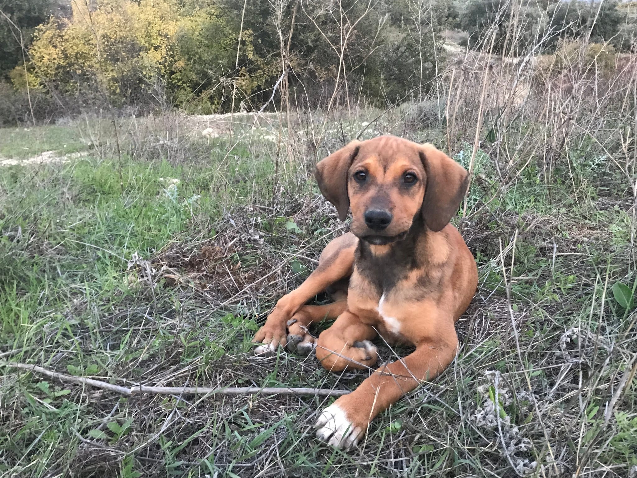 316293788_10158569000197583_2555879201536496087_n