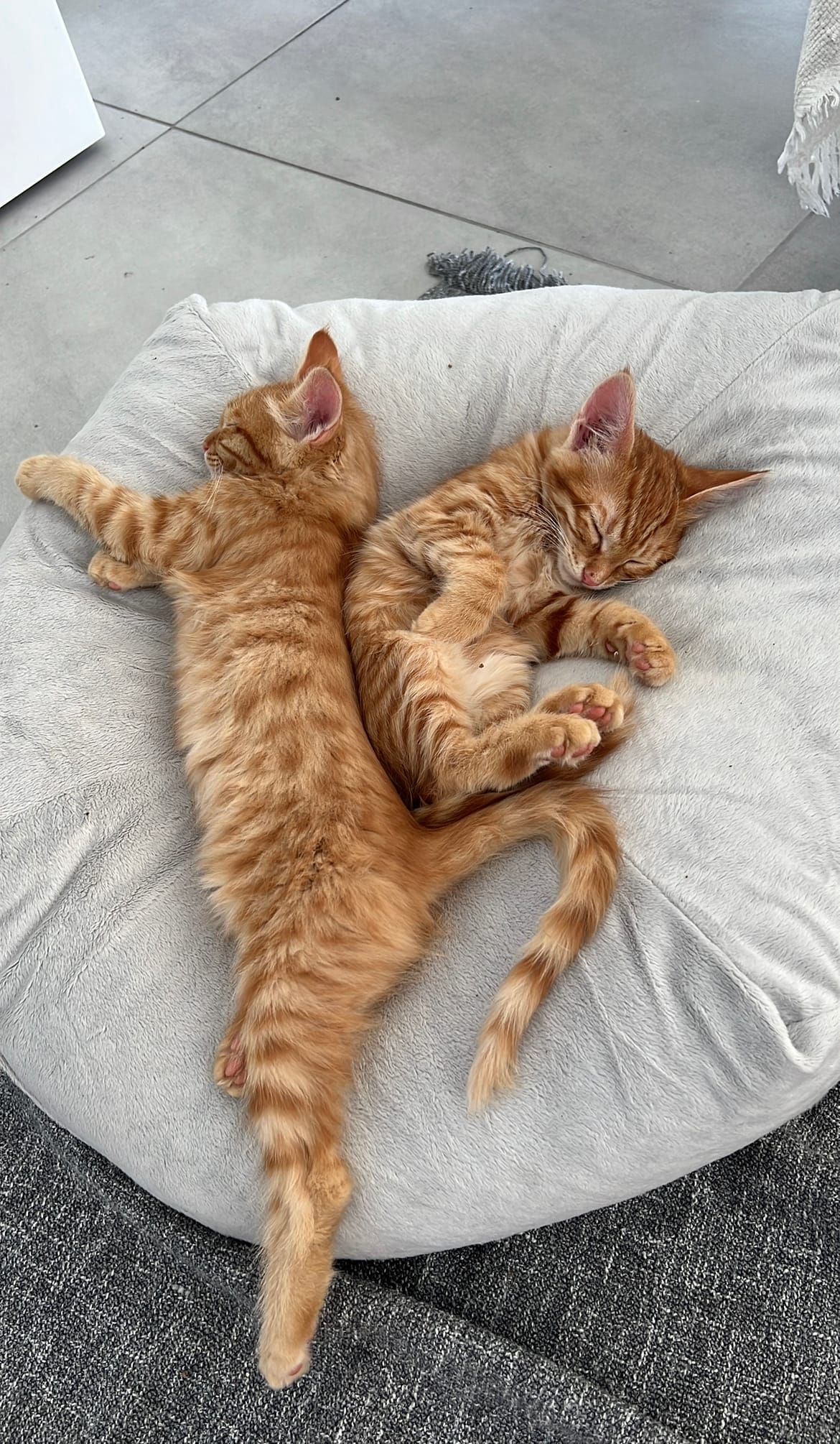 46E50773-5D4C-4C20-B35A-681BAEC789A7