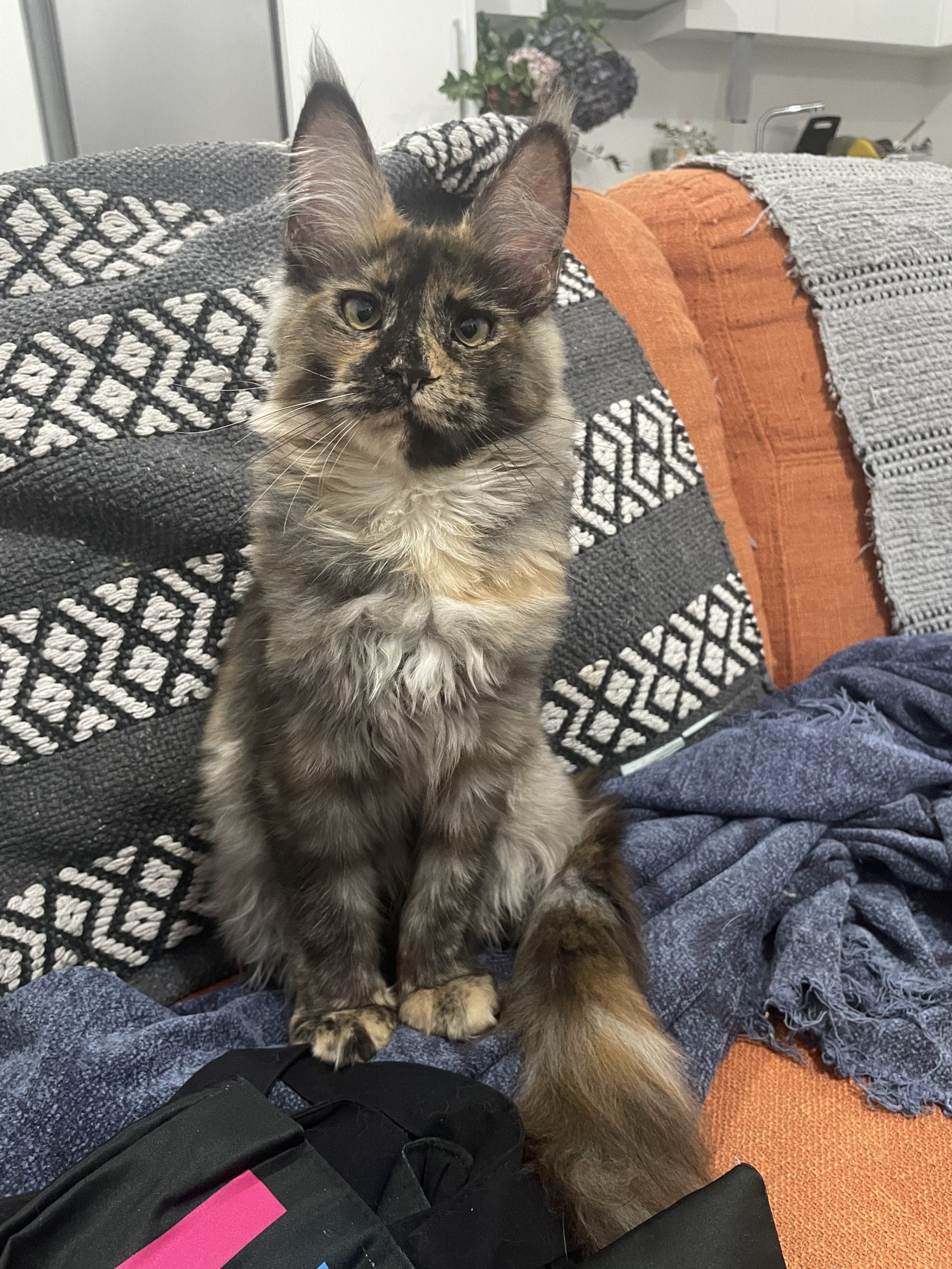 50C4AEB1-2098-4257-B524-5A0126BDCC95