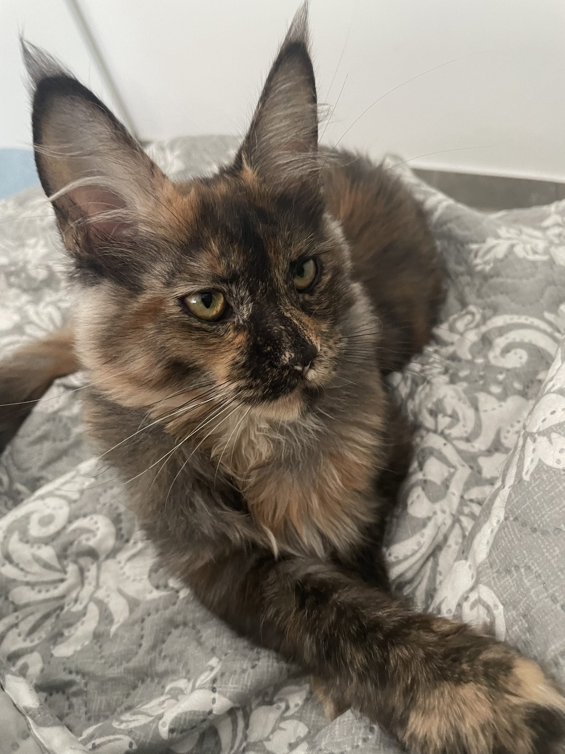 5D7CF329-7E2E-4C87-B10C-88A537EFF072