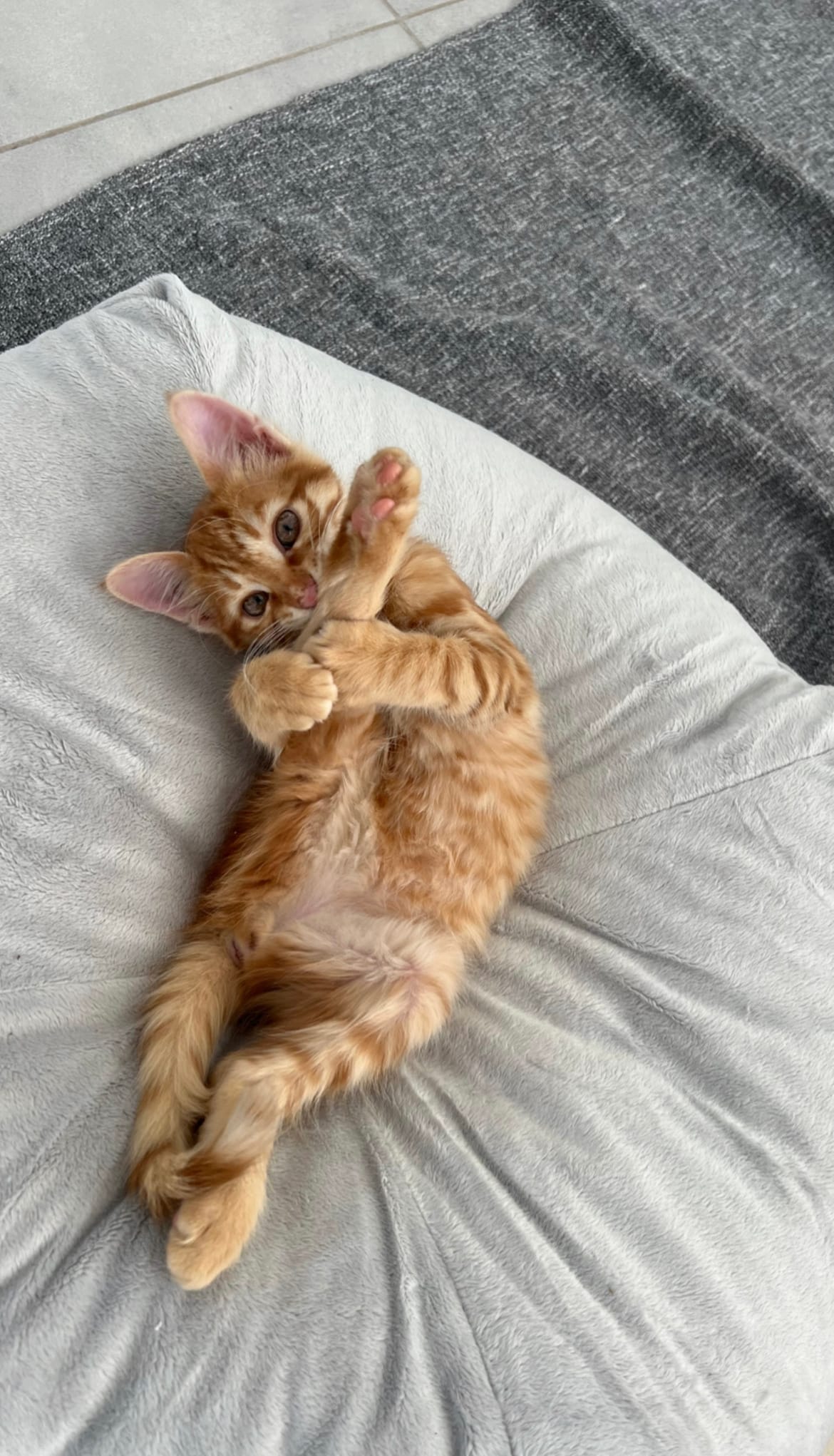 7C328419-5451-4647-9D39-CEDB2D7FE052